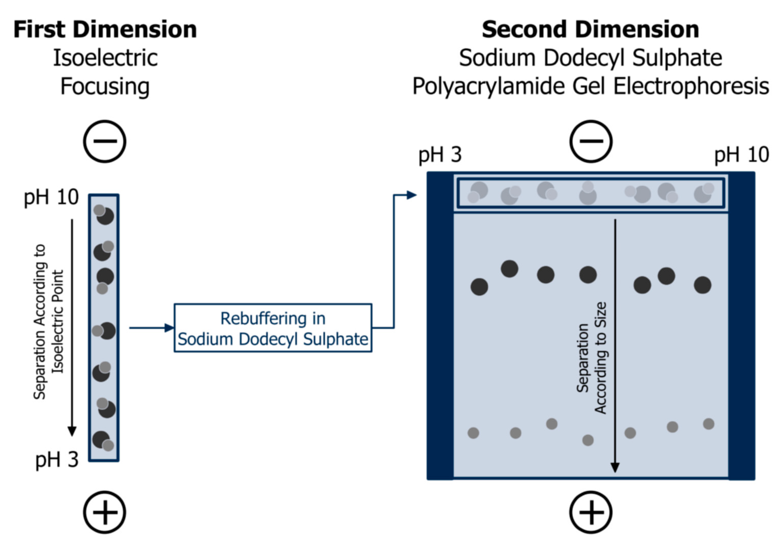 Separations 05 00014 g006