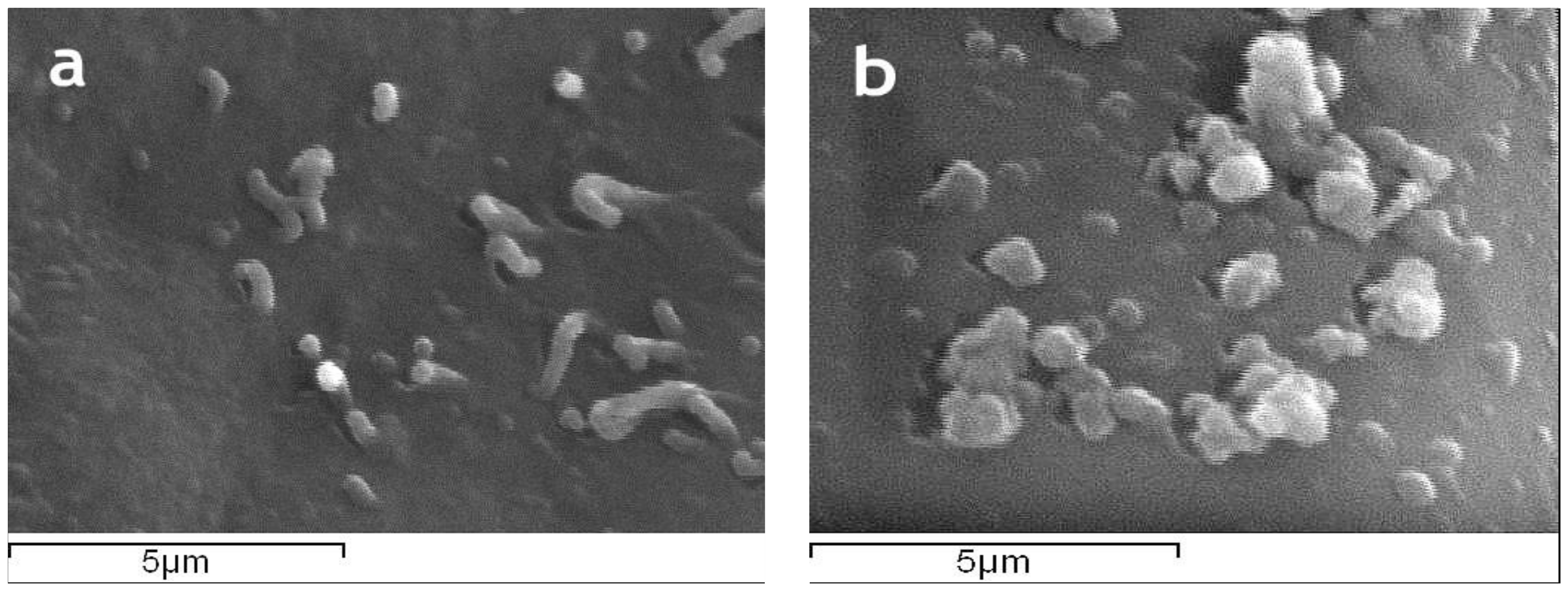 Separations 05 00025 g002a