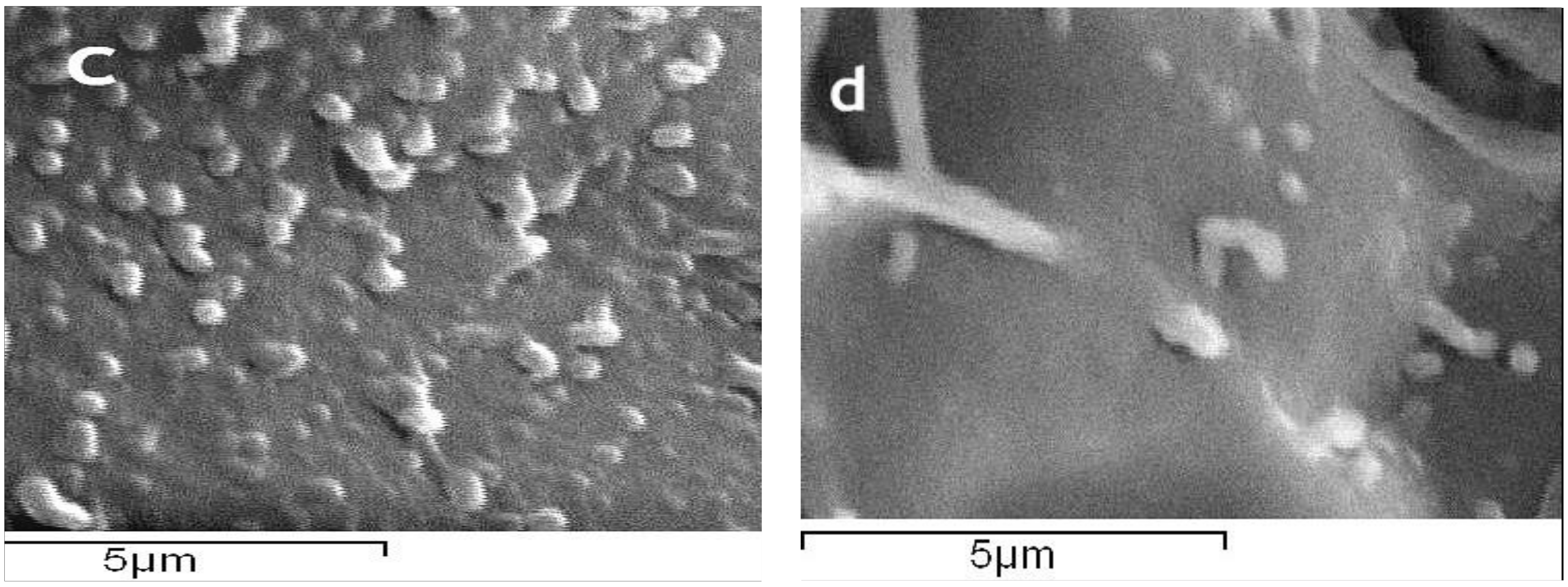 Separations 05 00025 g002b