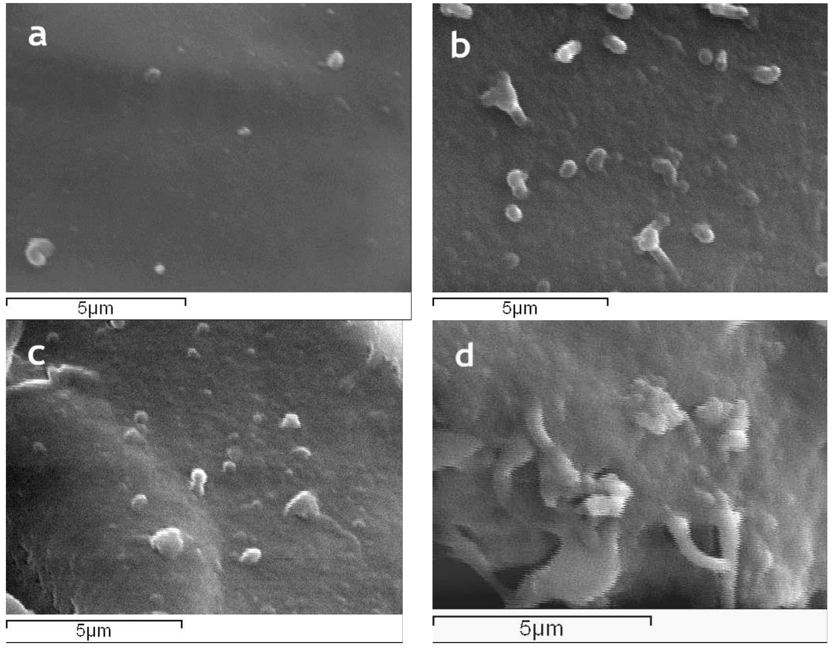 Separations 05 00025 g005