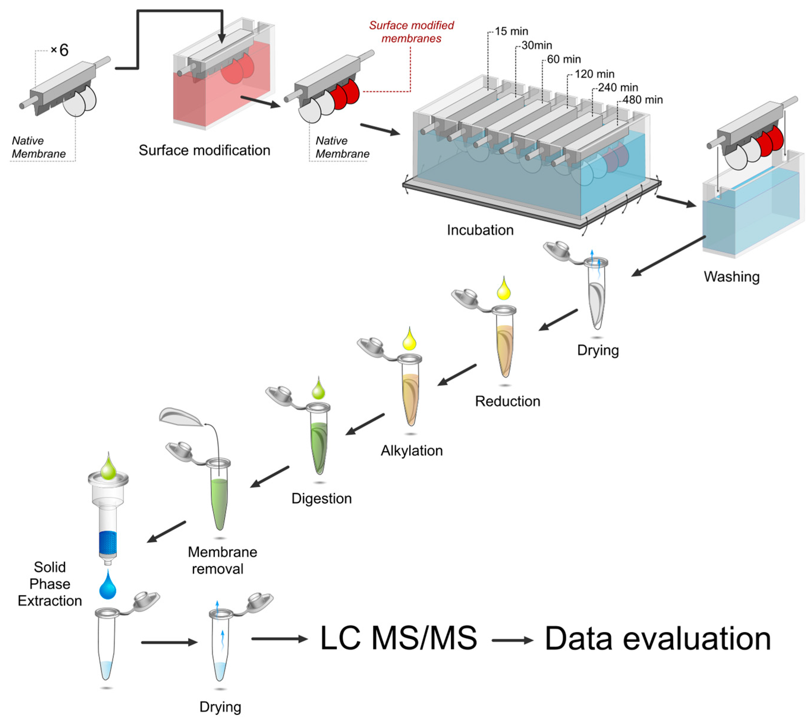 Separations 05 00027 g001