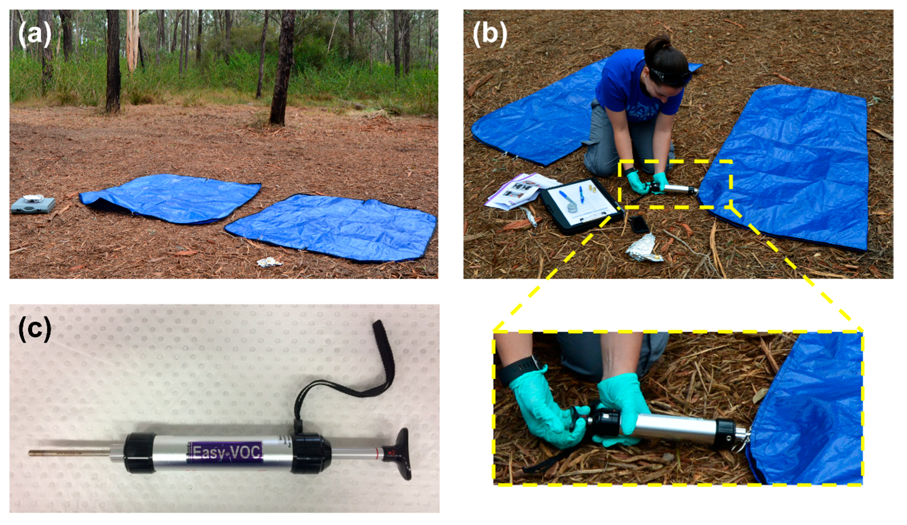 Separations 05 00046 g001