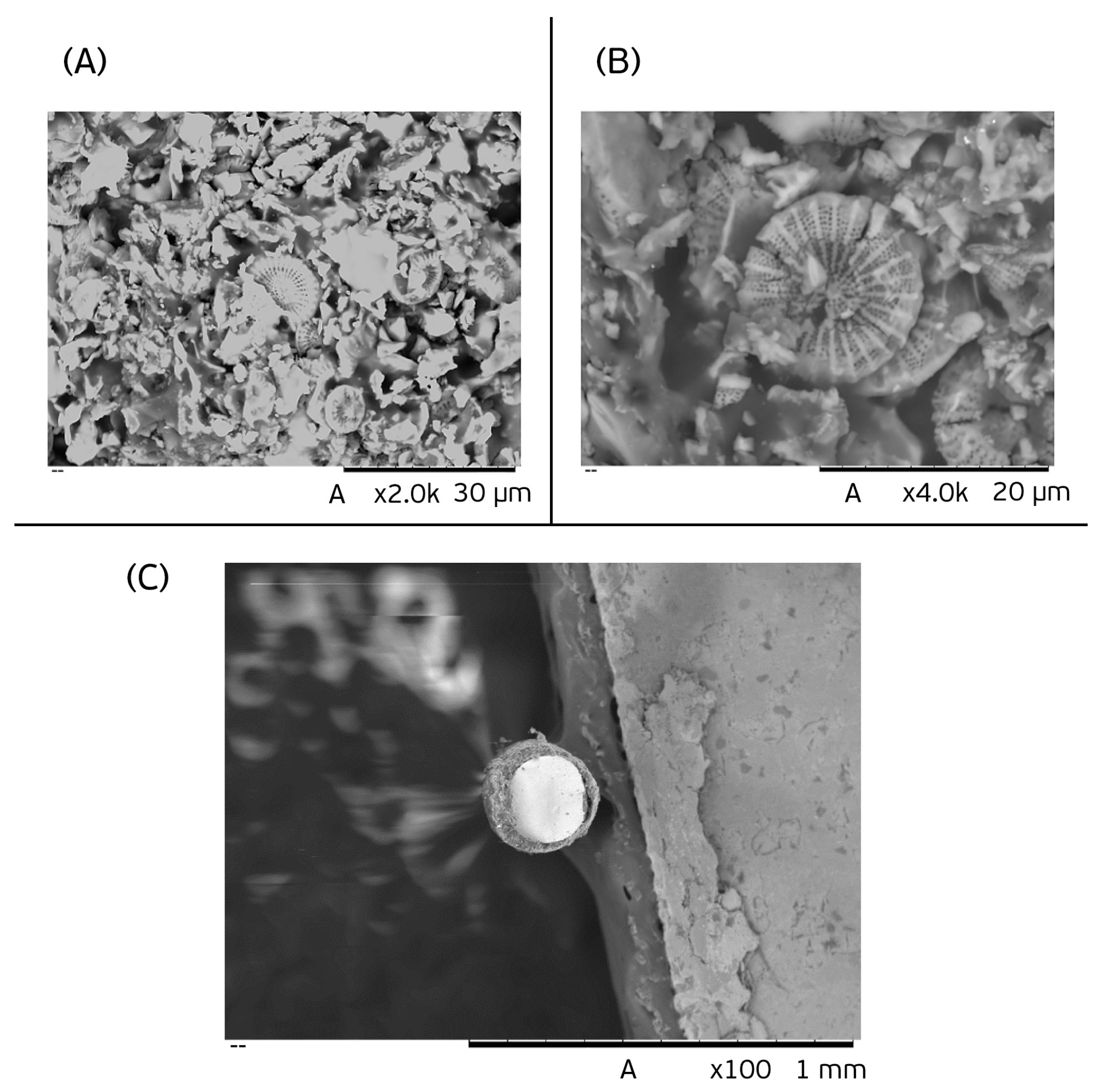 Separations 05 00055 g001 Separations 05 00055 g001