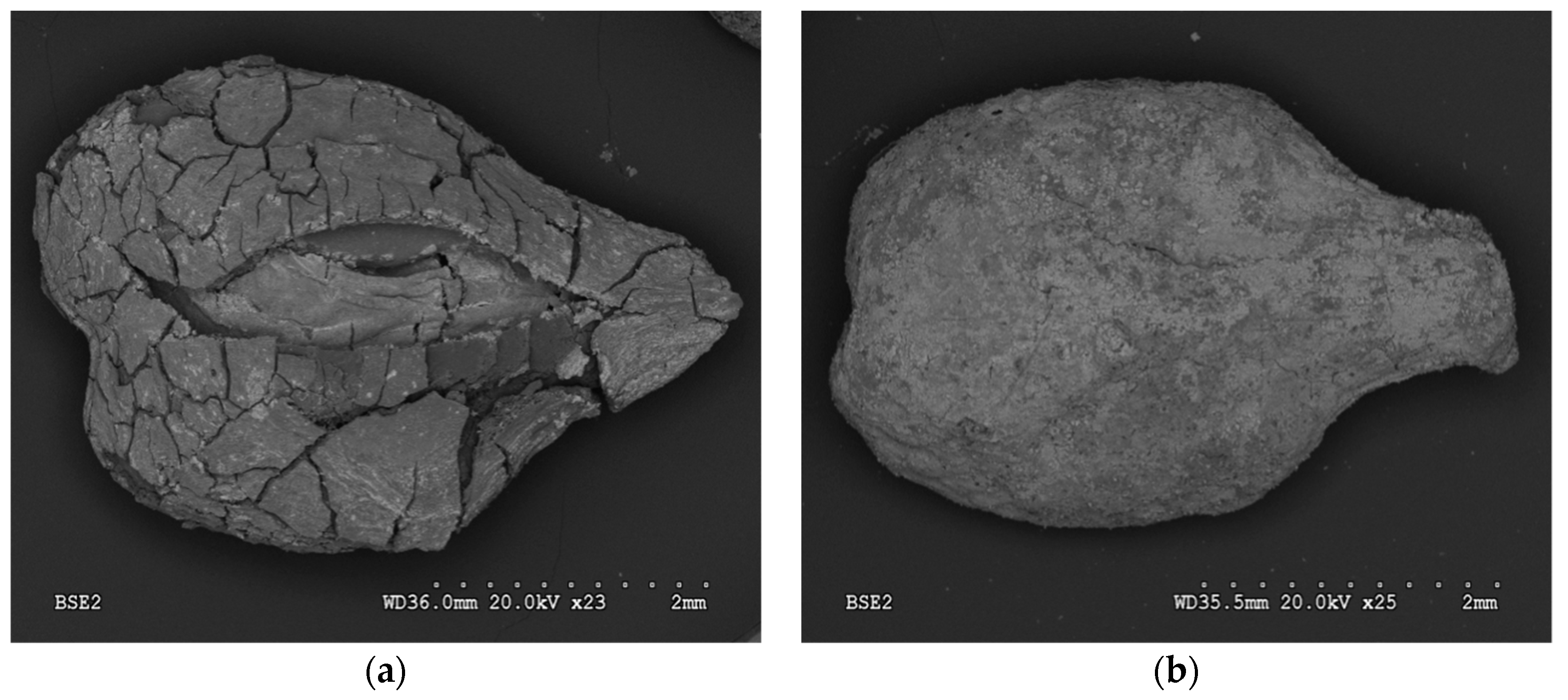 Separations 05 00059 g001