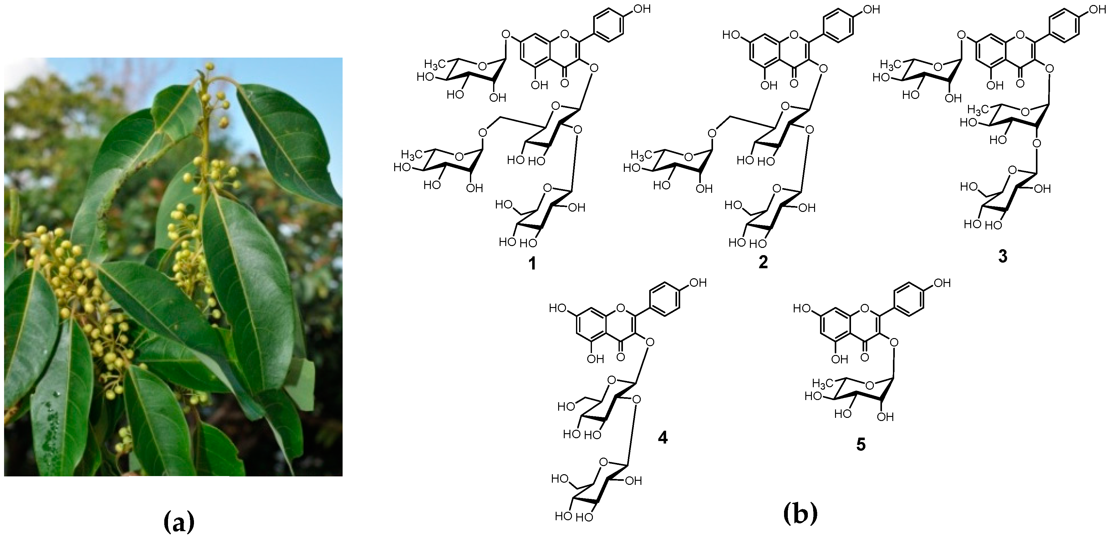 Separations 06 00010 g001