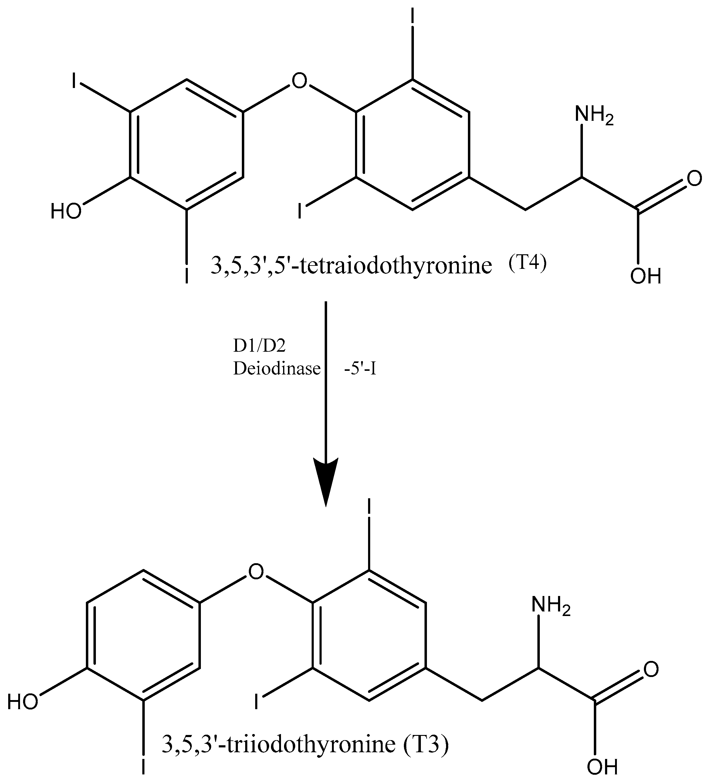Separations 06 00018 g001