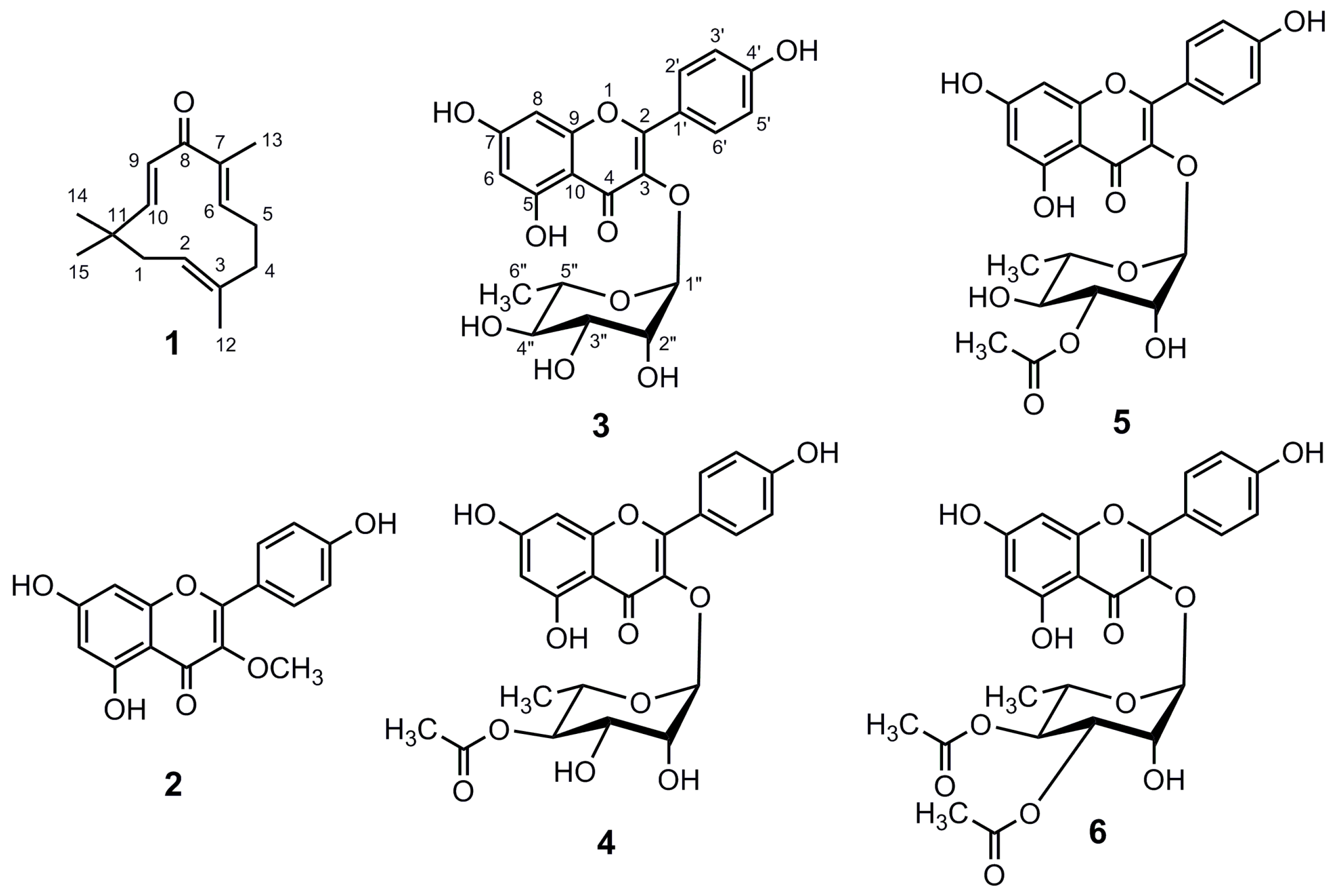 Separations 06 00031 g002