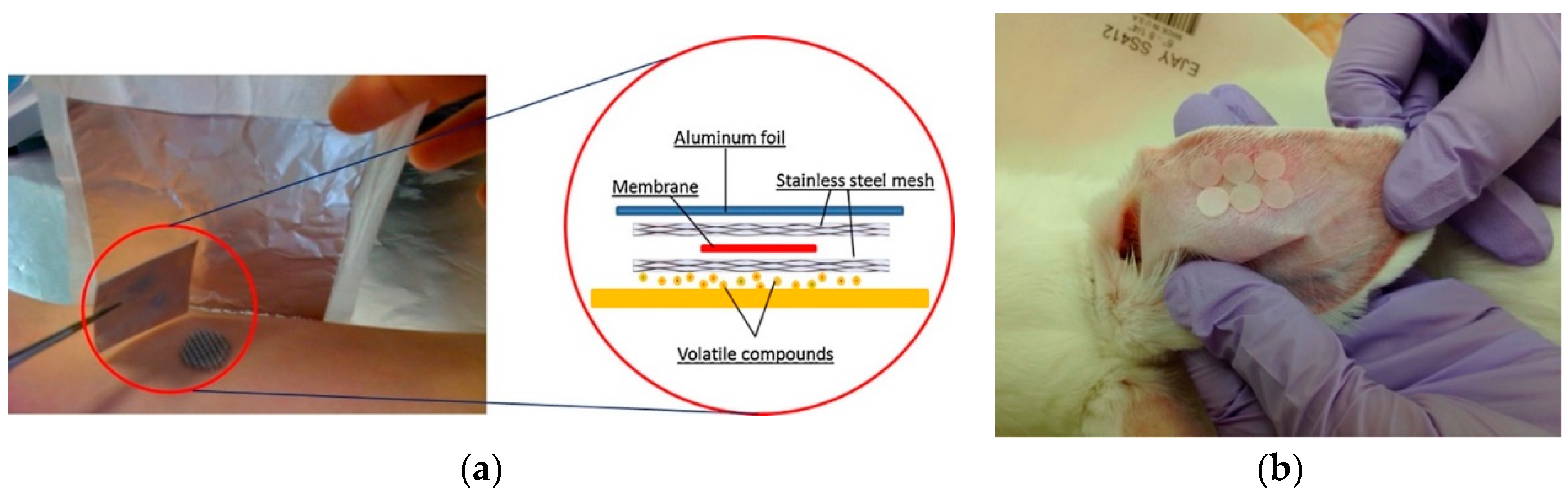Separations 06 00052 g001