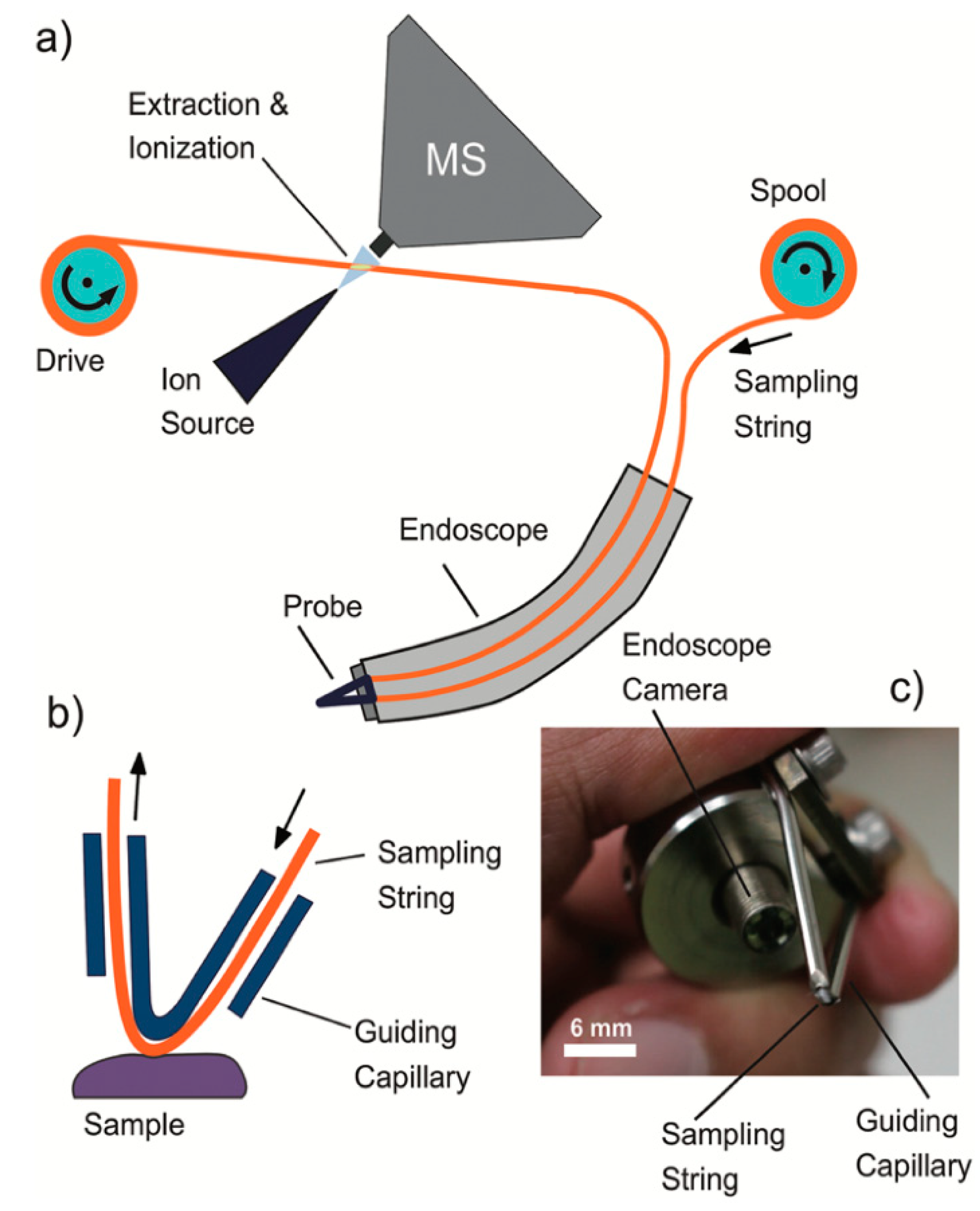Separations 06 00052 g006