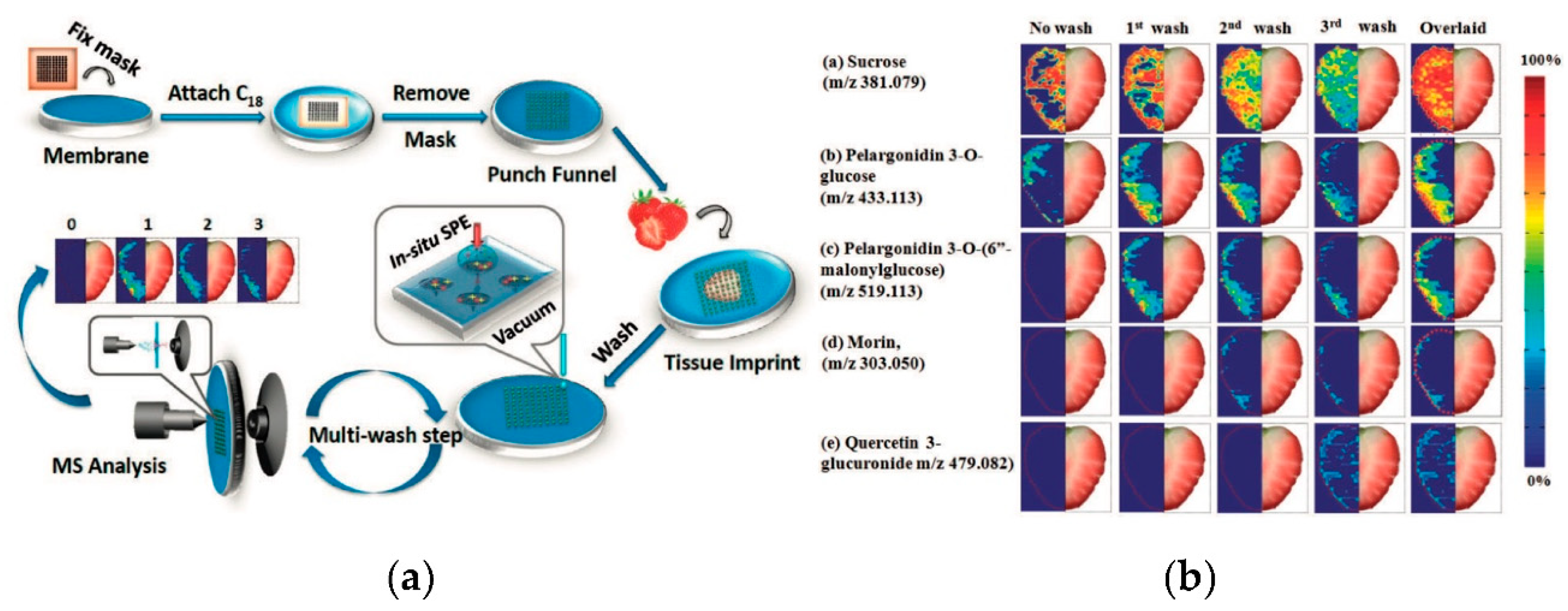 Separations 06 00052 g010