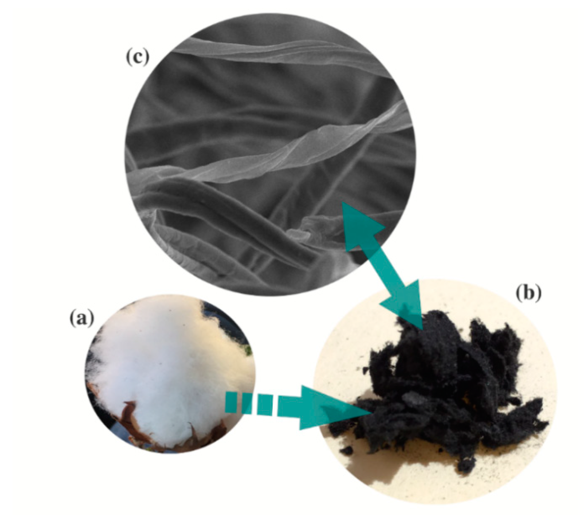 Separations 07 00002 g001