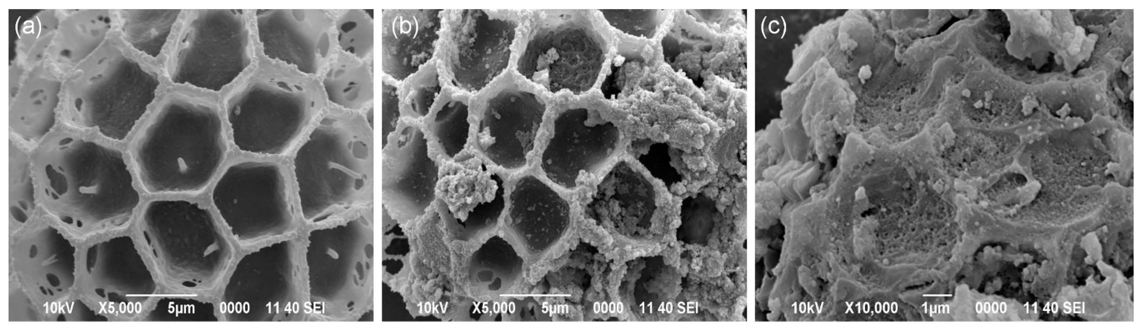 Separations 07 00002 g002