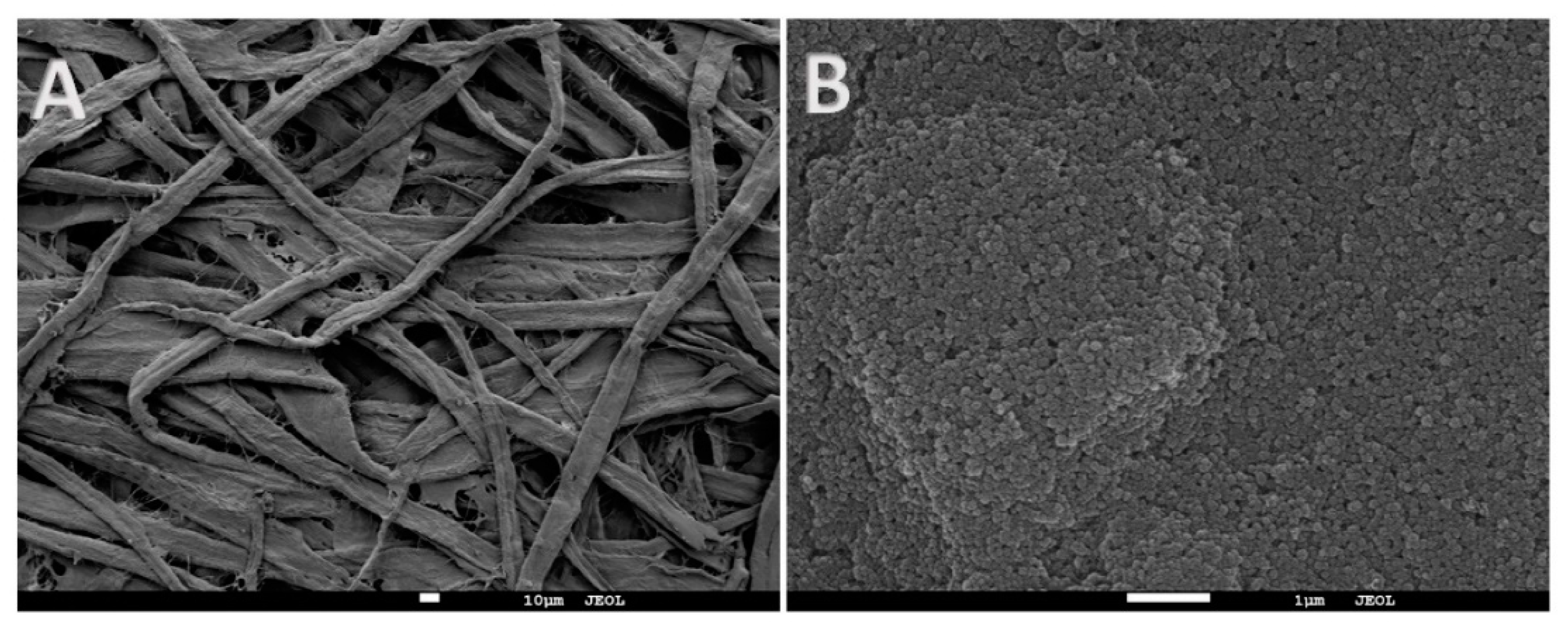 Separations 07 00002 g003