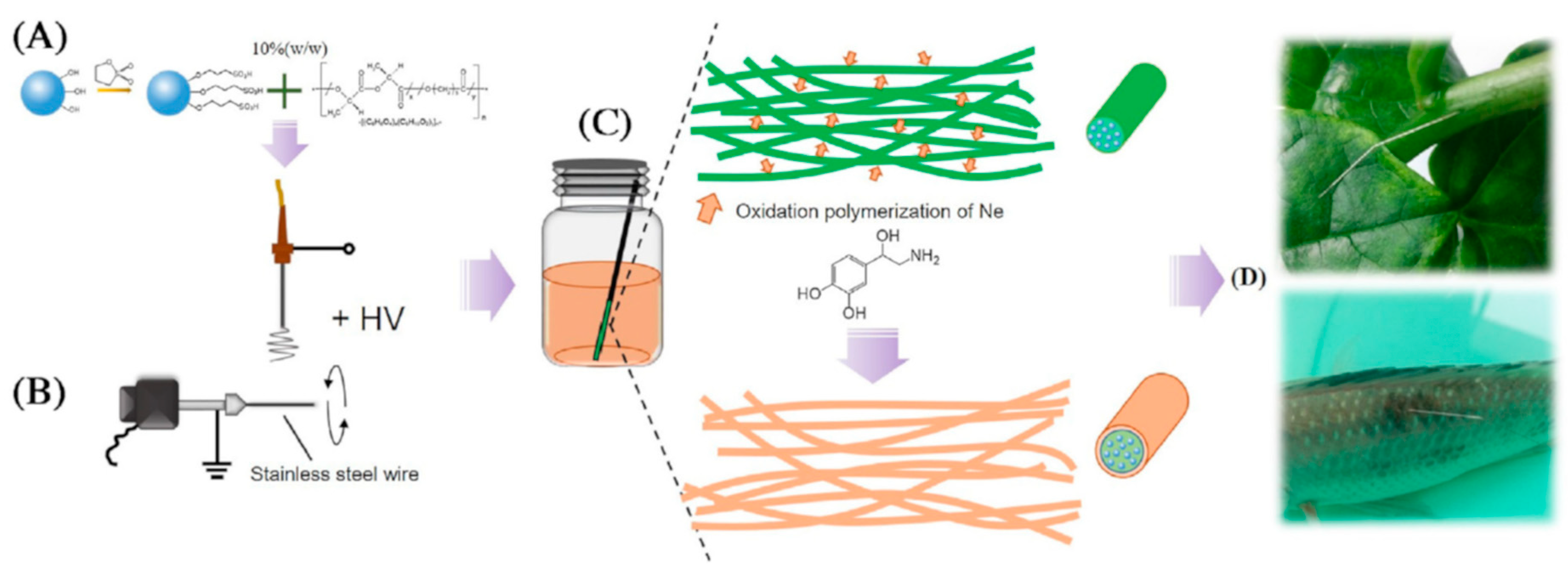 Separations 07 00006 g004