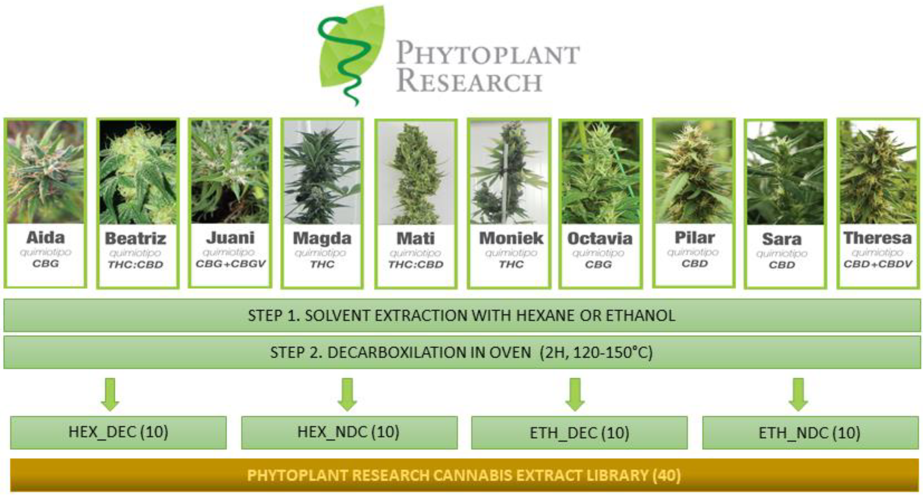 Separations 07 00056 g001