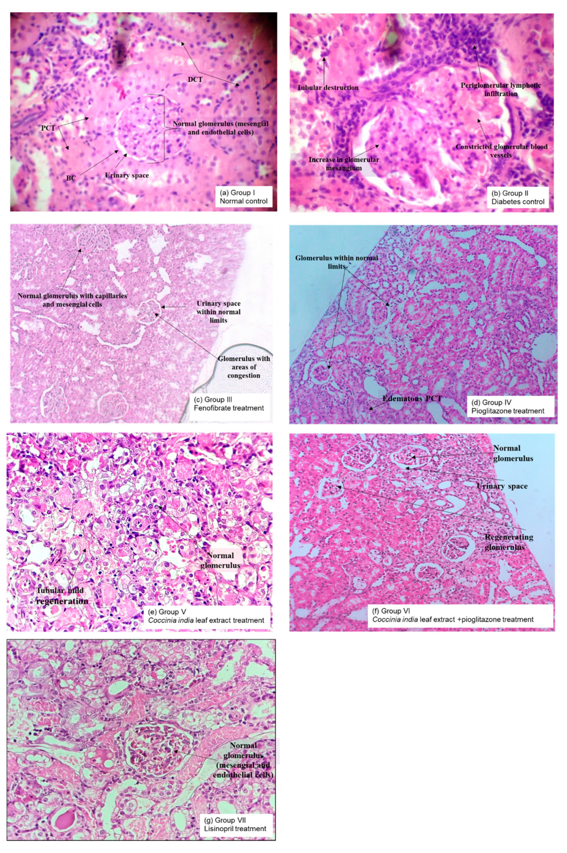 Separations 07 00058 g008