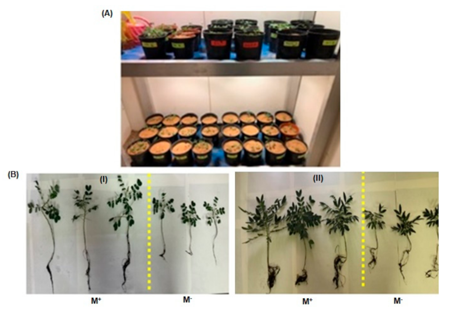 Separations 07 00065 g002 Separations 07 00065 g002