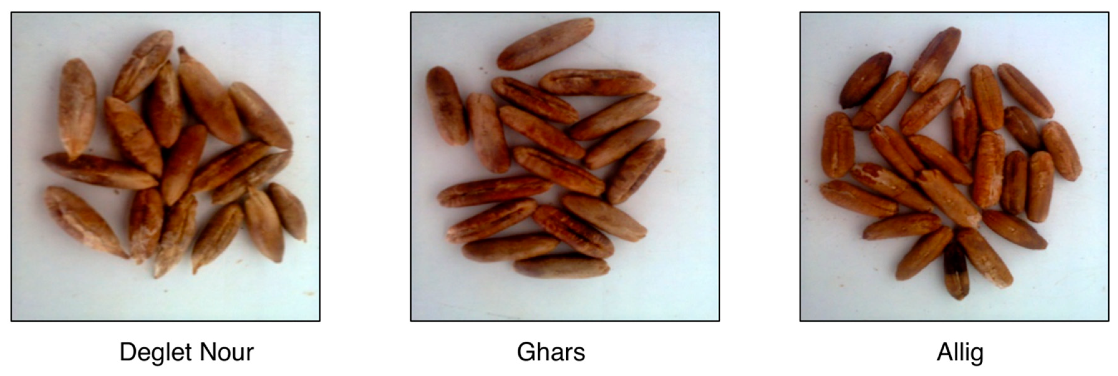 Separations 07 00067 g001