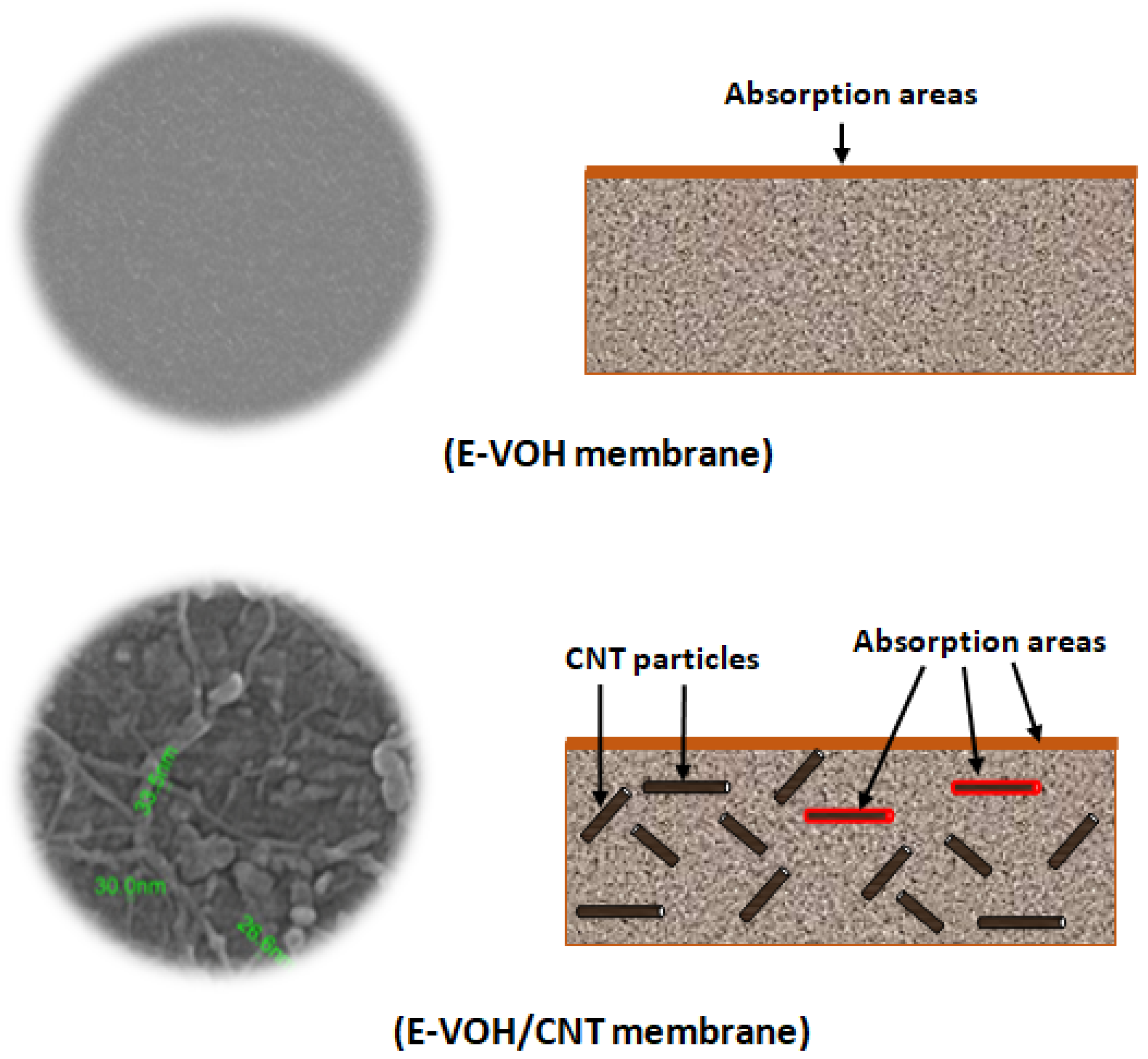 Separations 07 00068 sch004