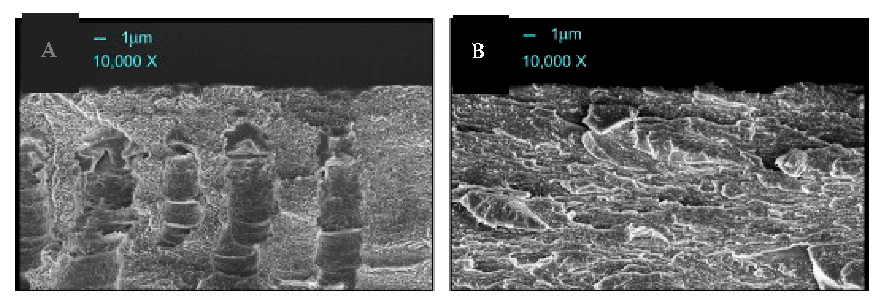 Separations 07 00069 g002
