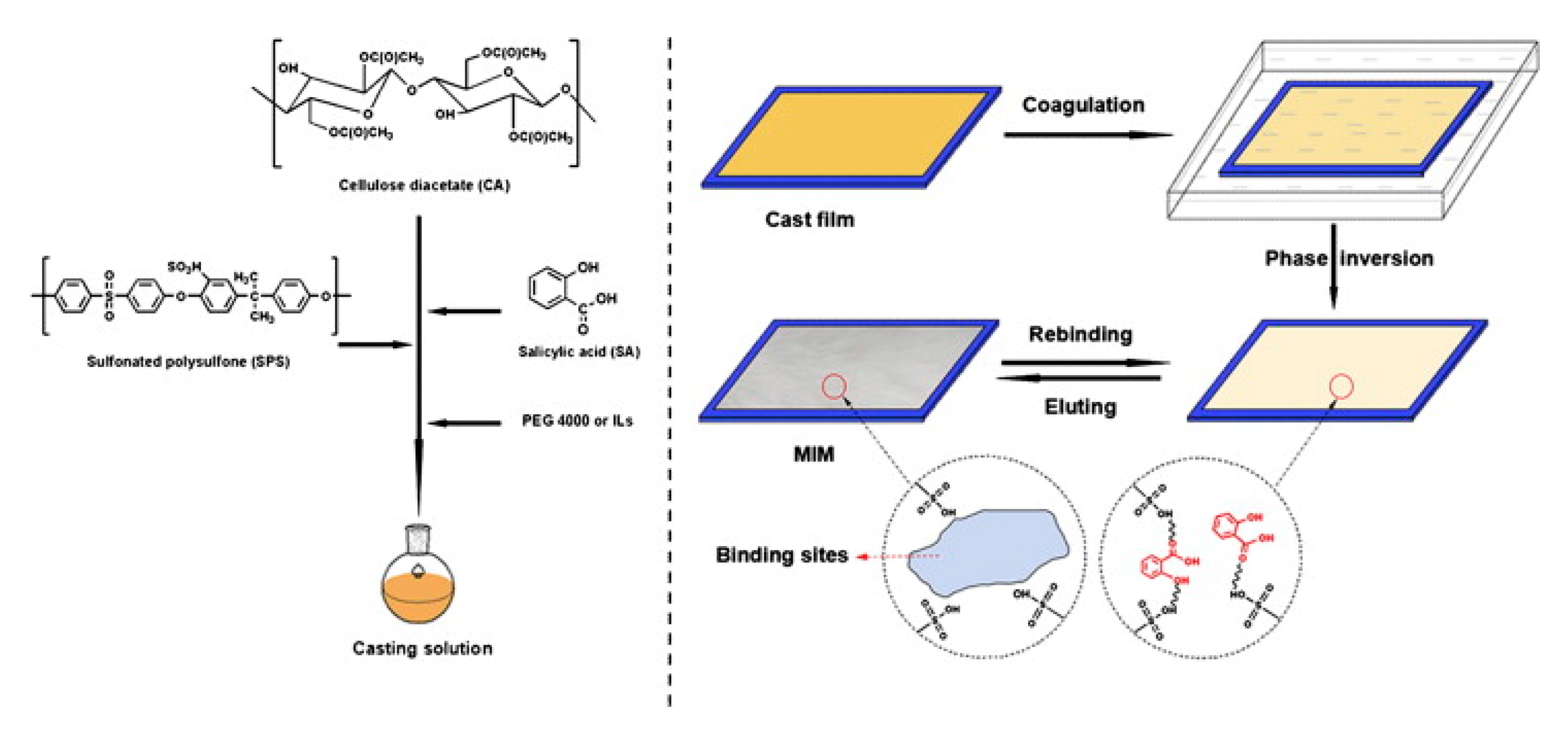 Separations 07 00069 g003