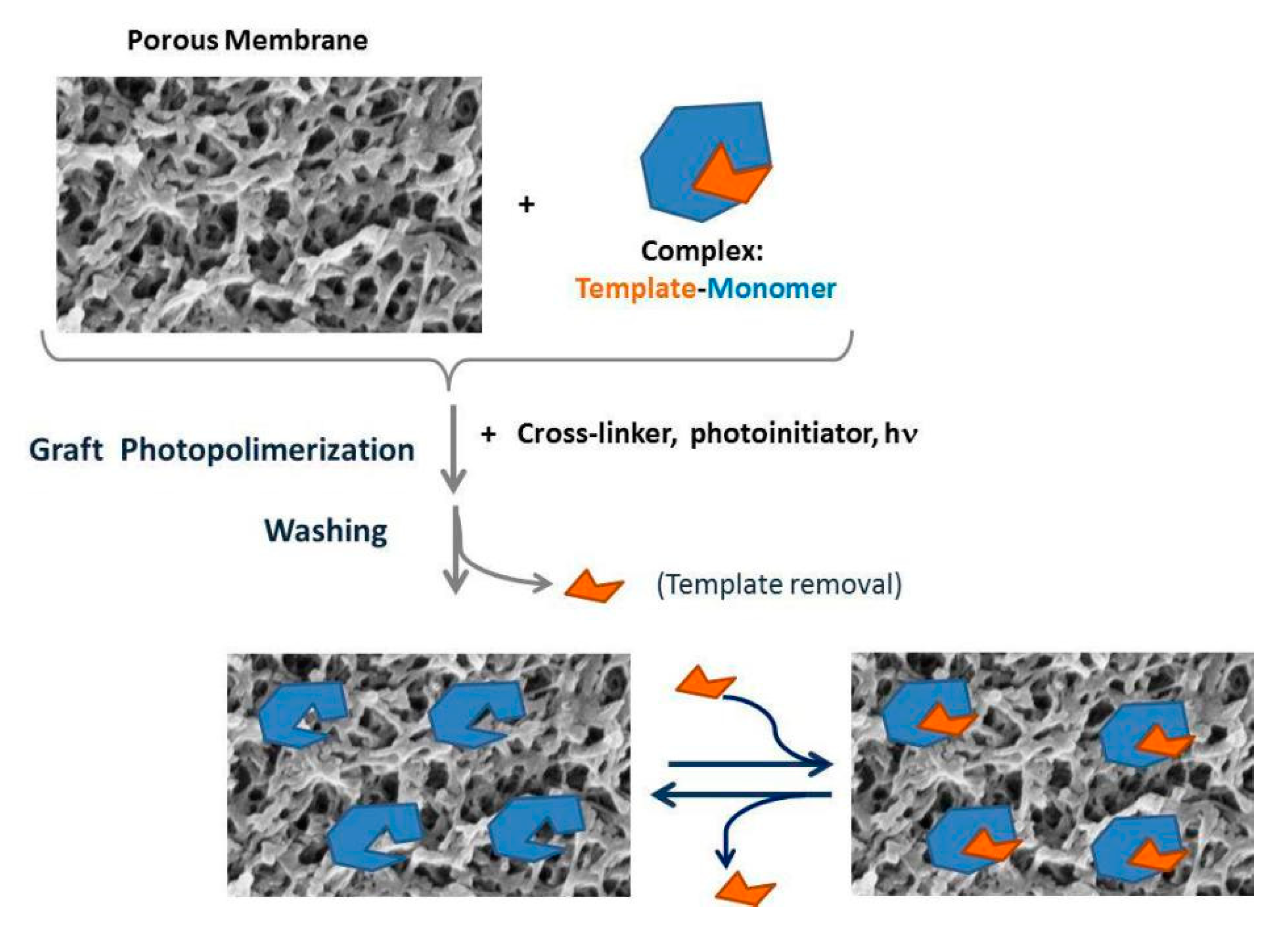 Separations 07 00069 g004