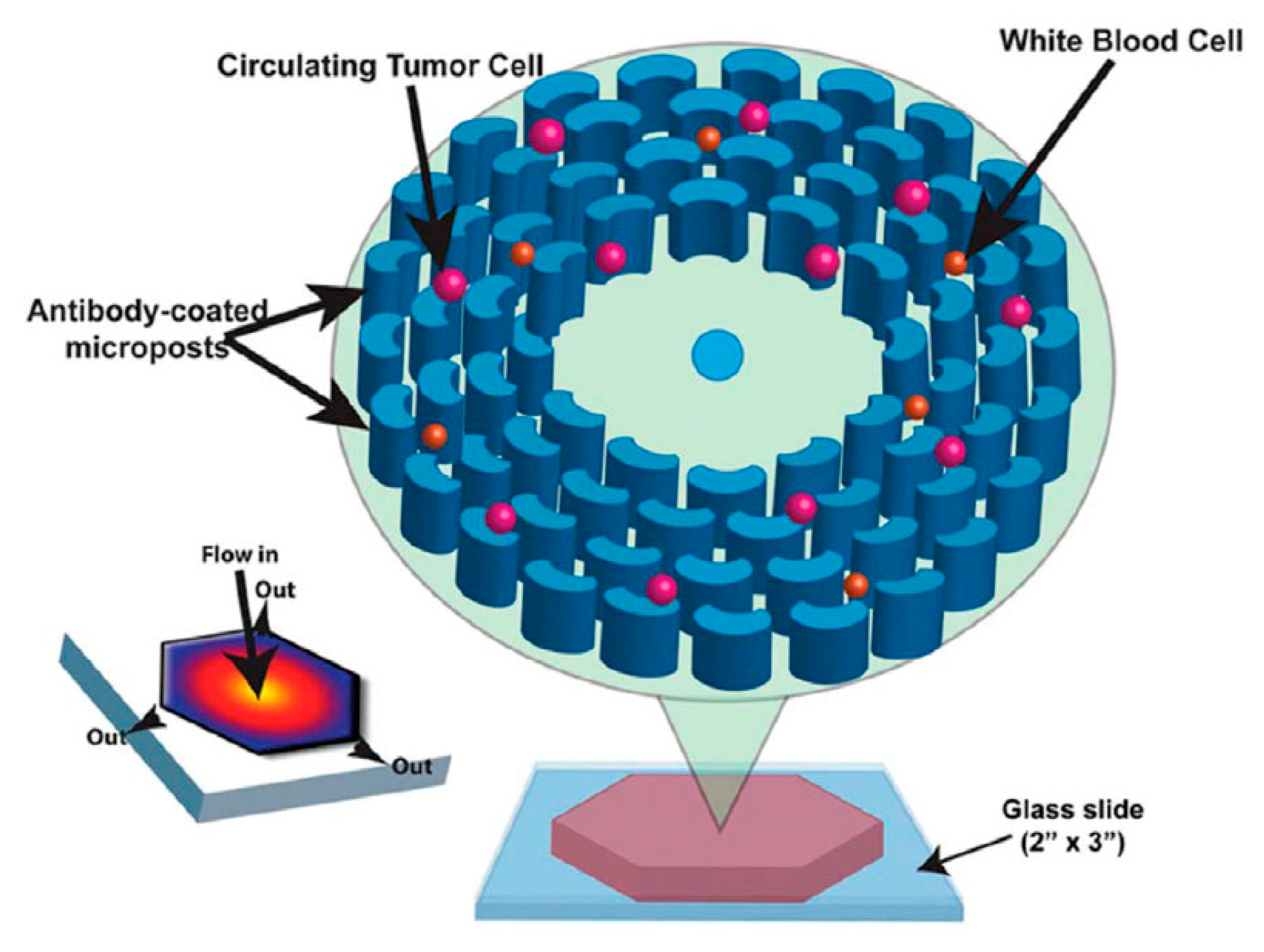 Separations 08 00003 g003