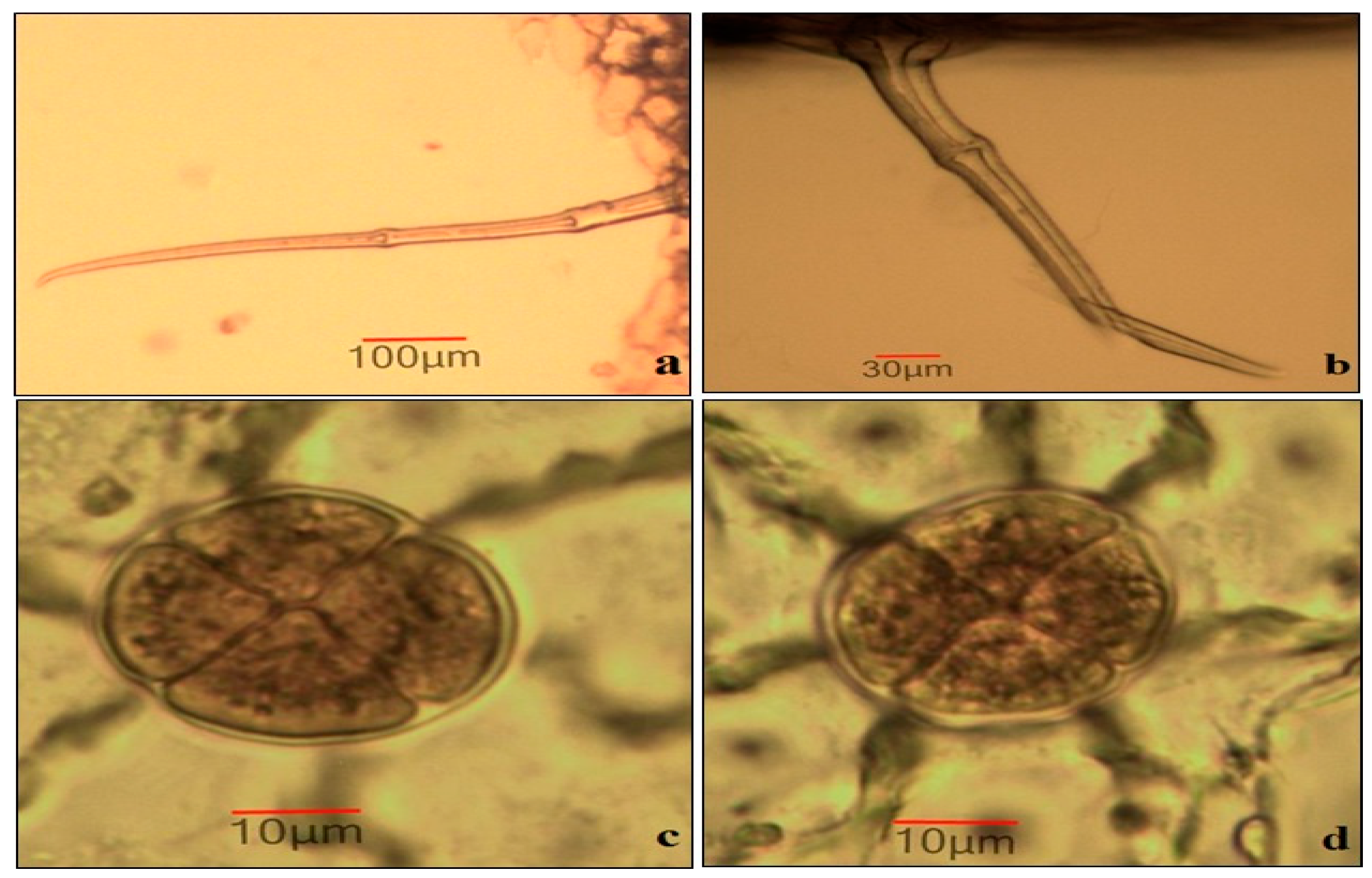 Separations 08 00011 g001