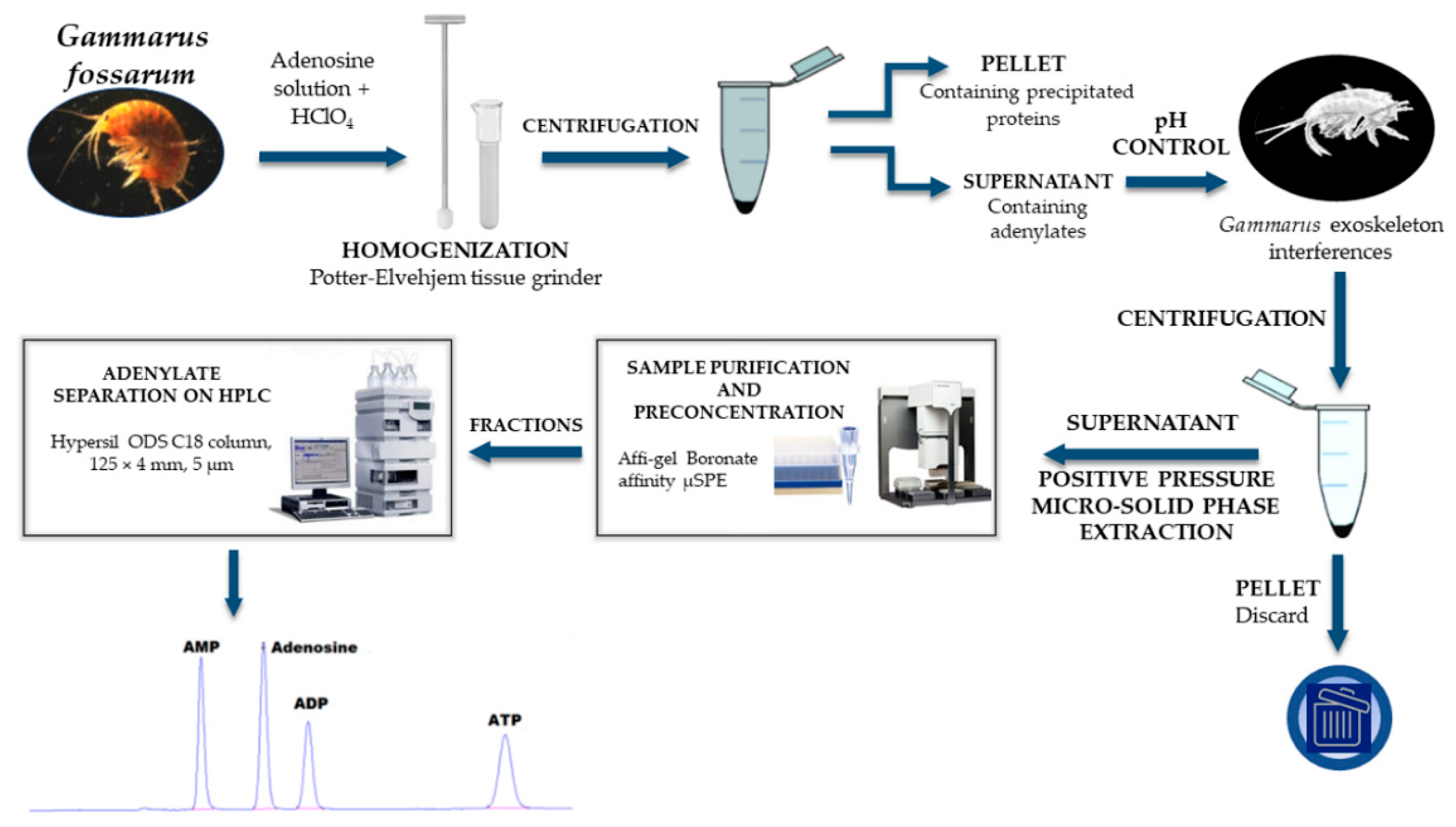 Separations 08 00020 g001