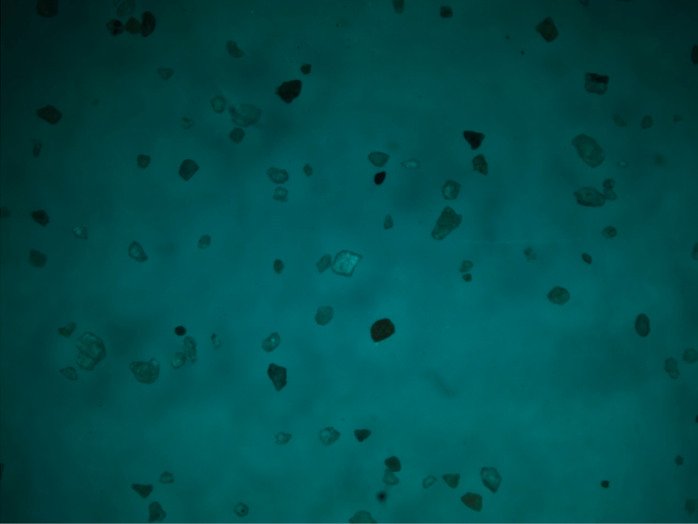 Separations 08 00036 g013