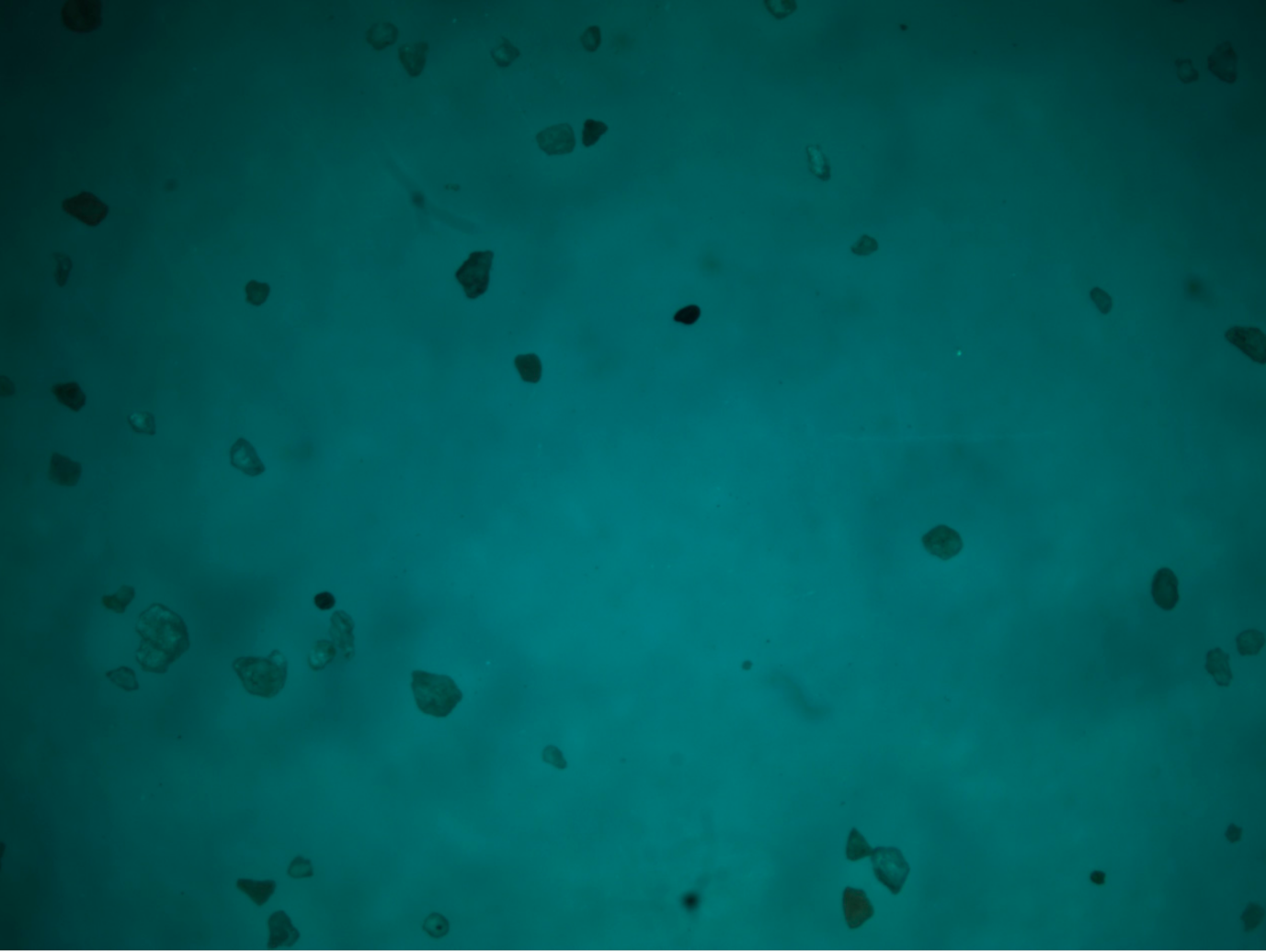 Separations 08 00036 g014