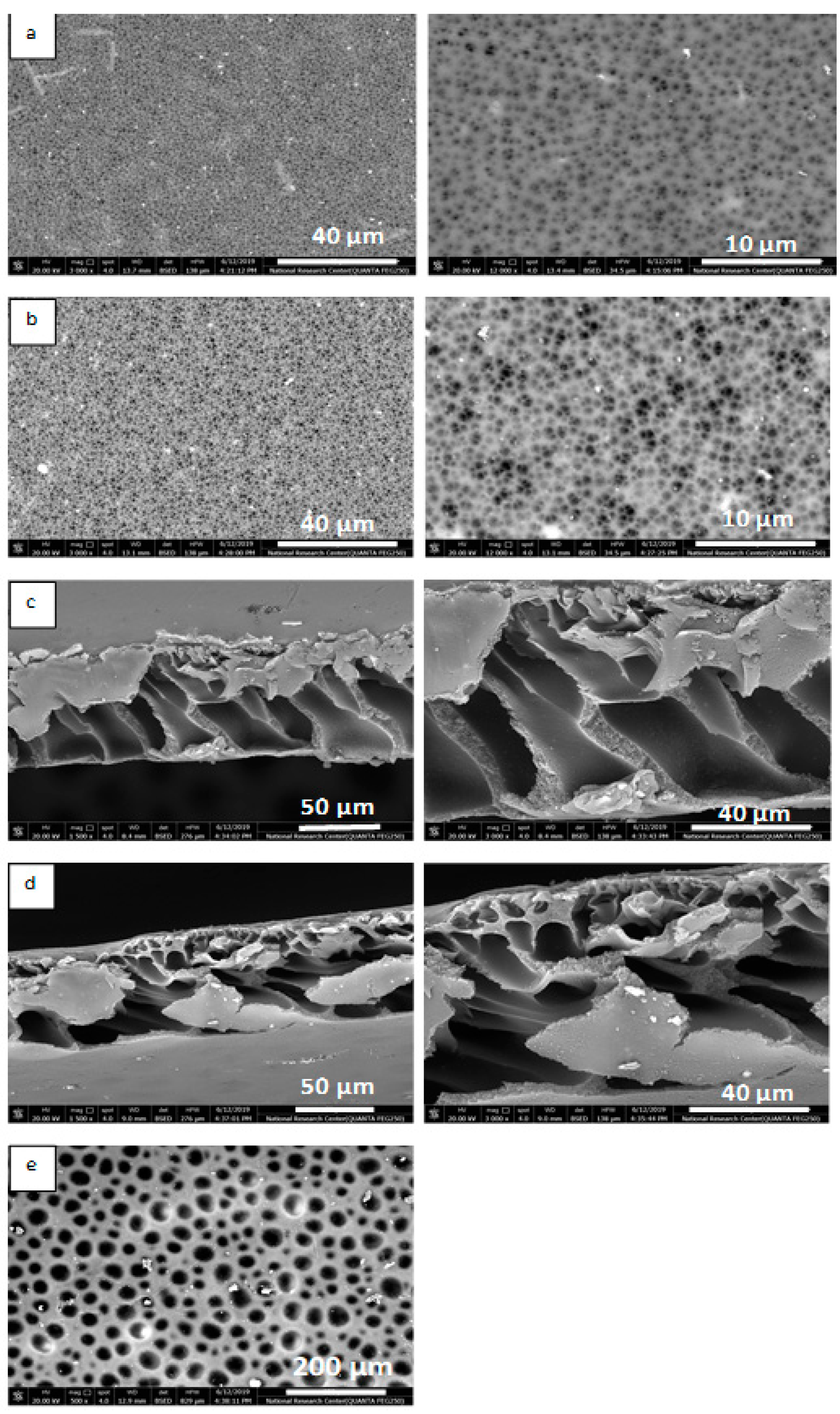 Separations 08 00042 g001