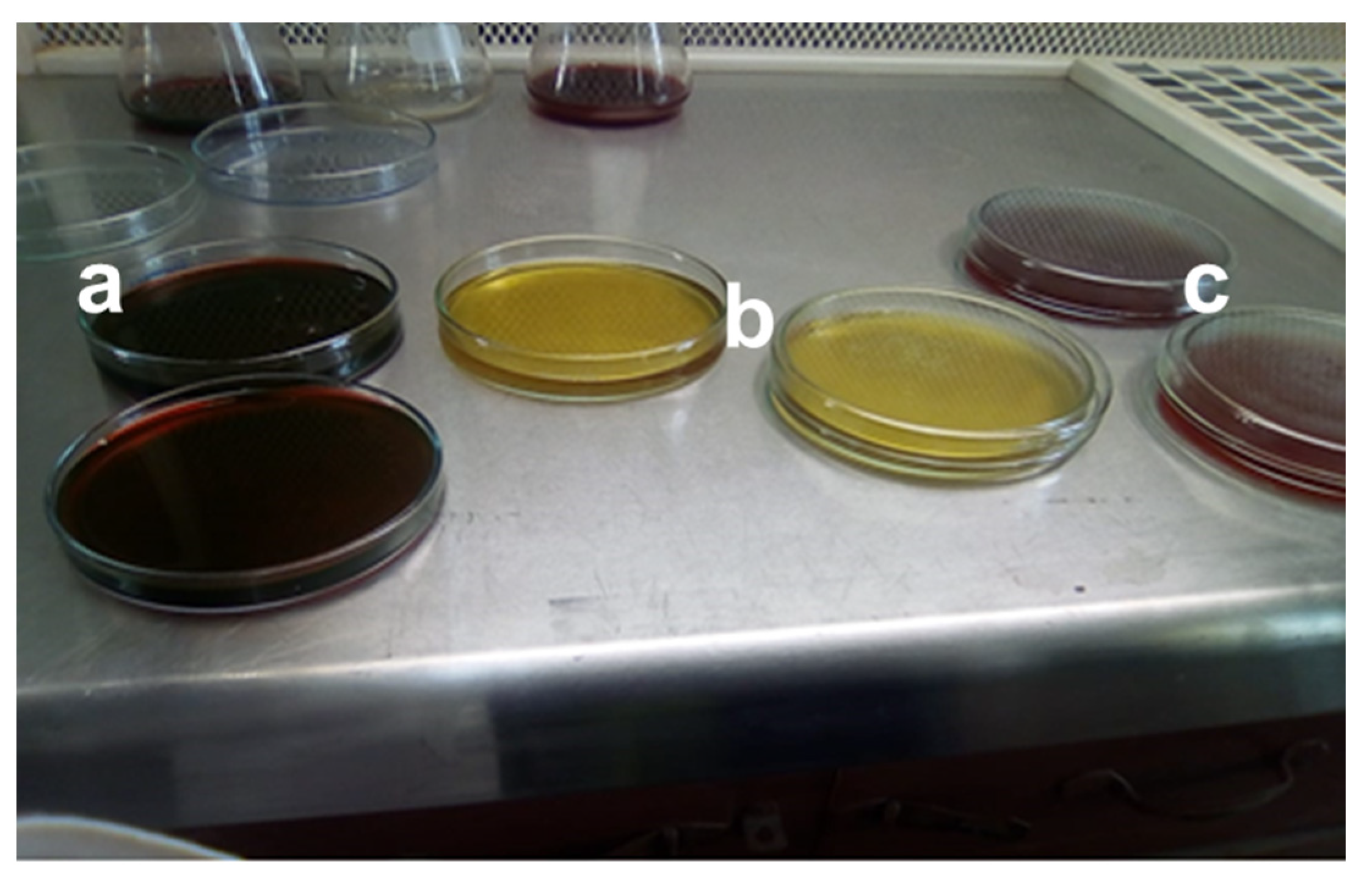 Separations 08 00043 g001