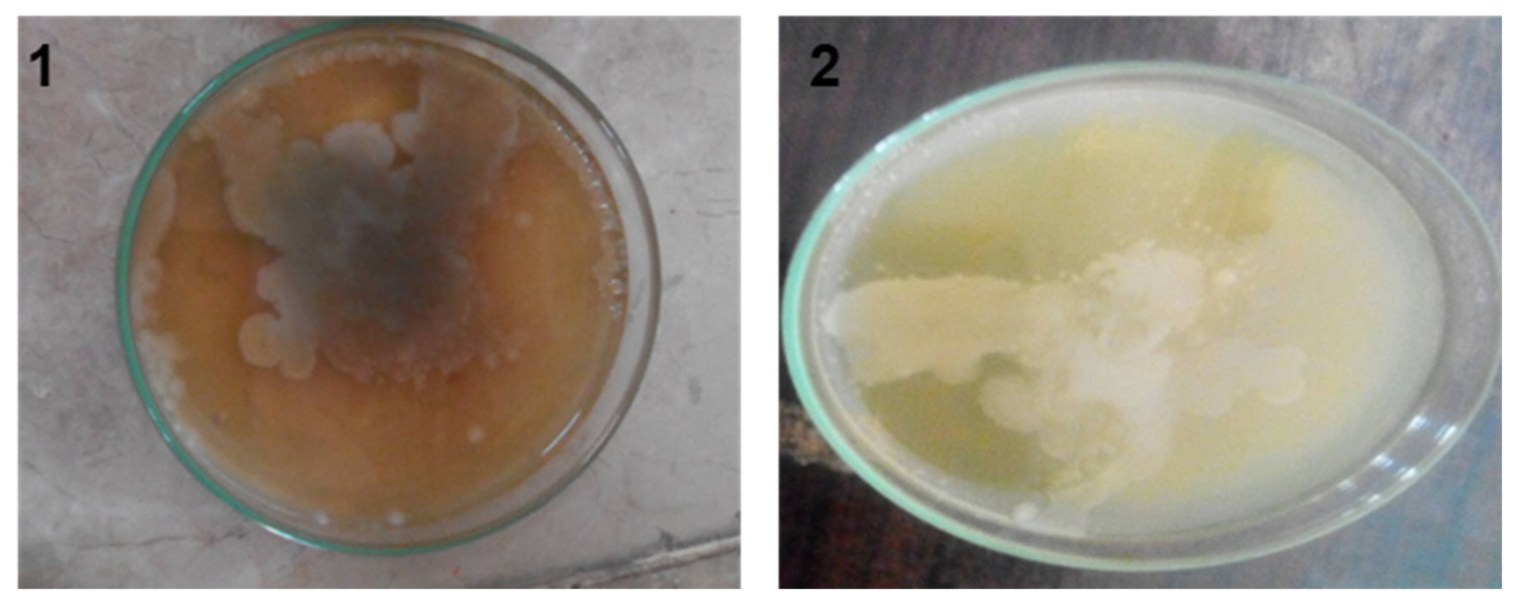 Separations 08 00043 g003