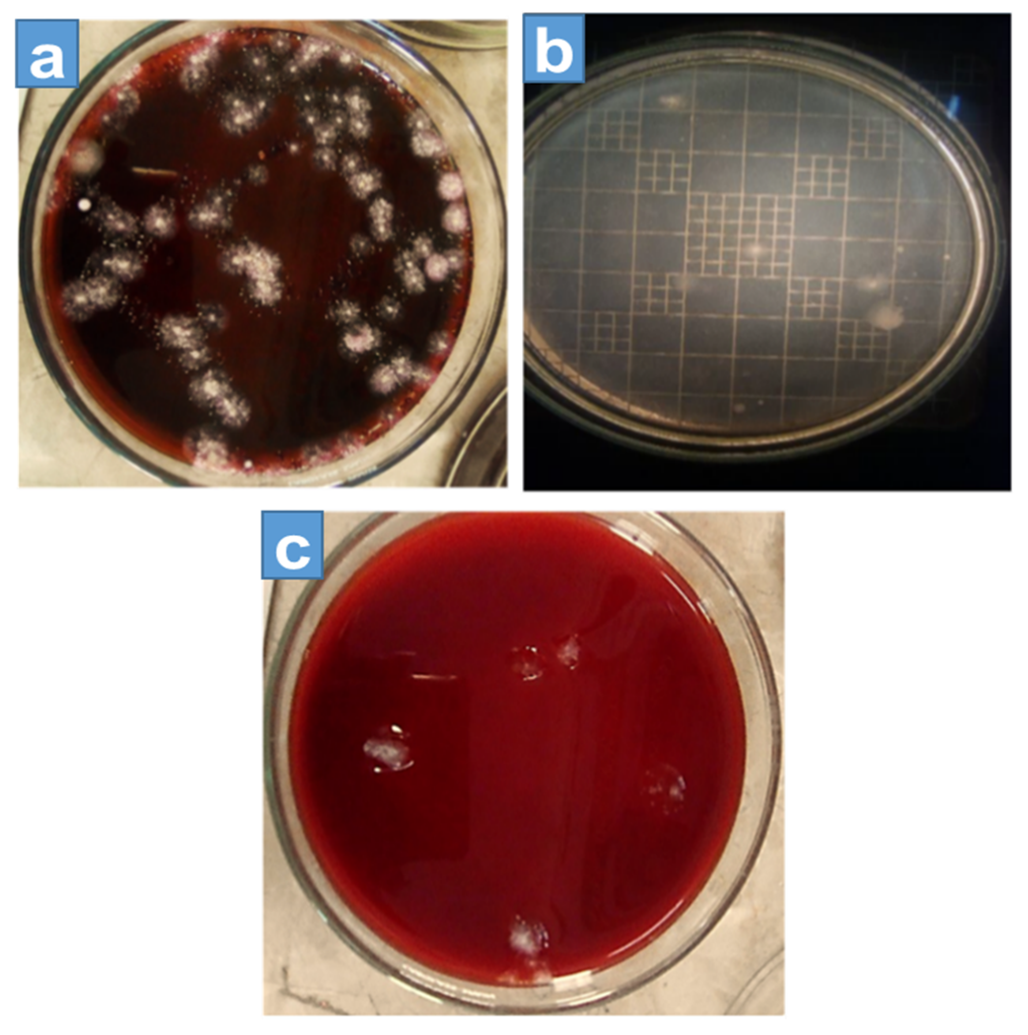 Separations 08 00043 g004