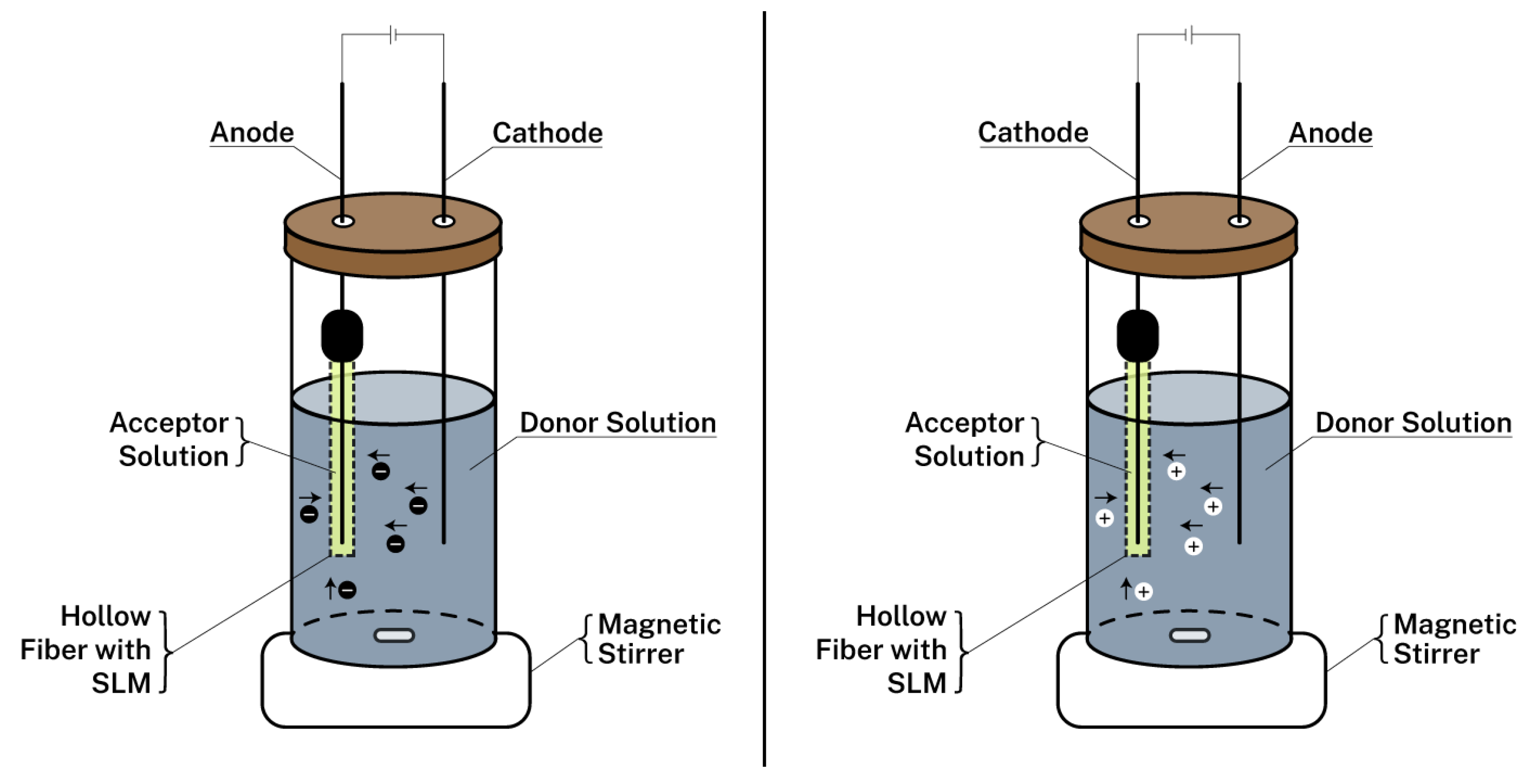 Separations 08 00060 g005