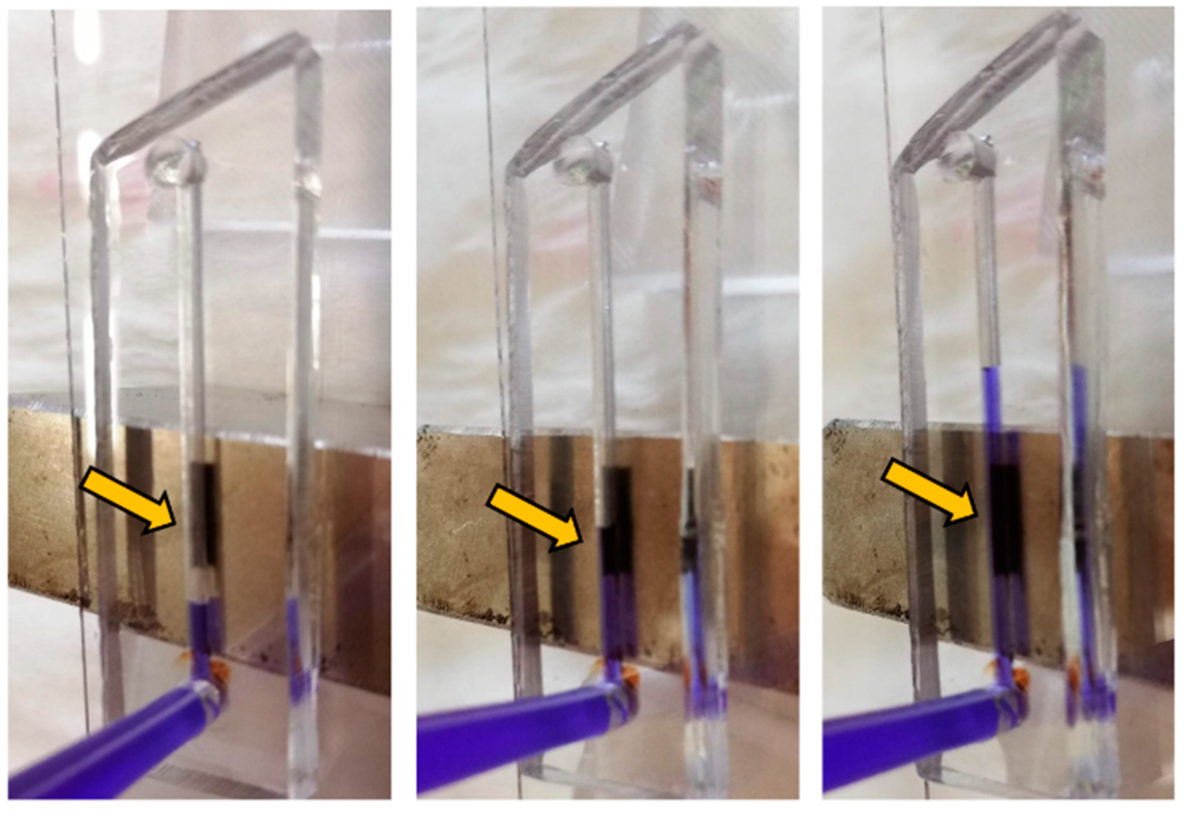 Separations 08 00067 g002