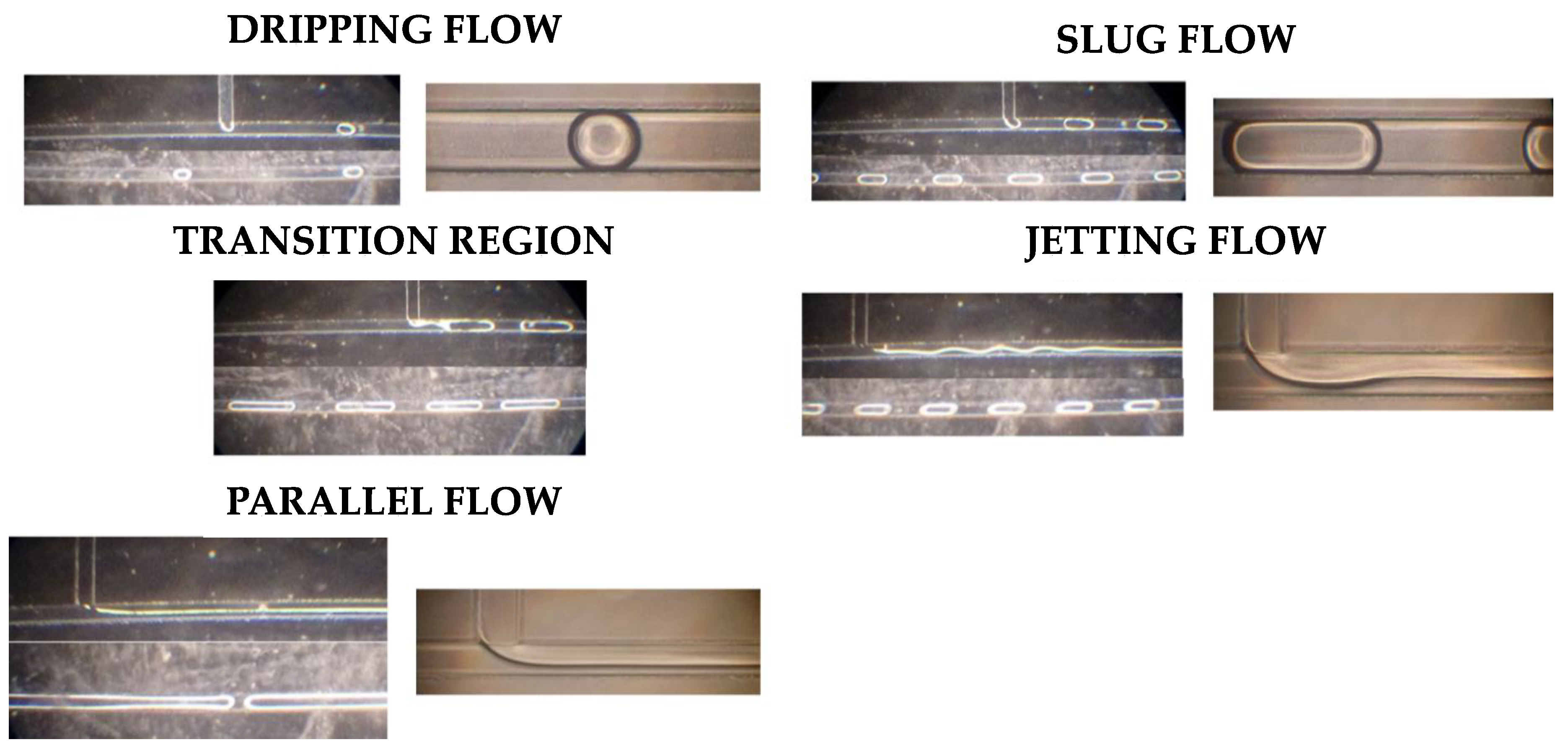 Separations 08 00070 g003