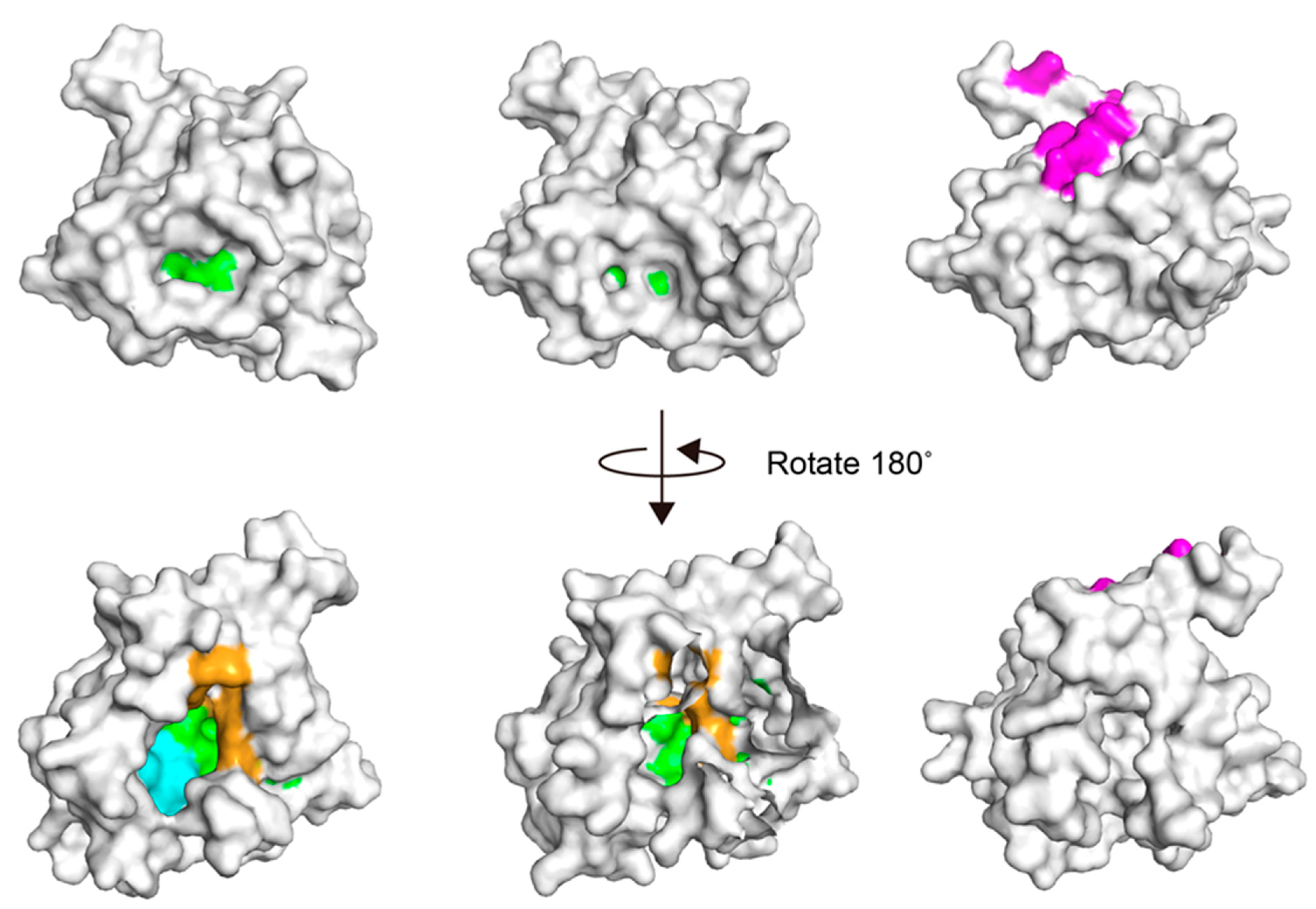 Separations 08 00073 g007