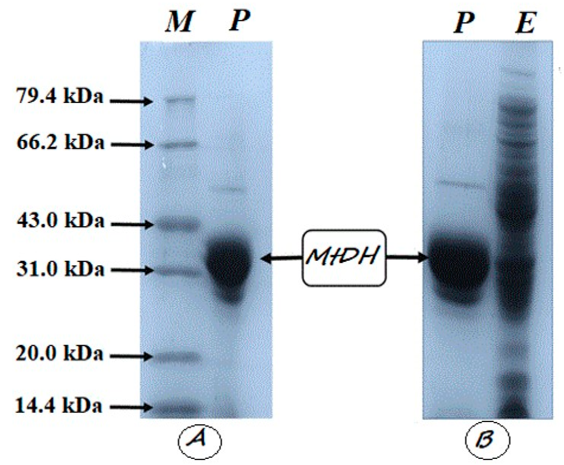 Separations 08 00076 g001