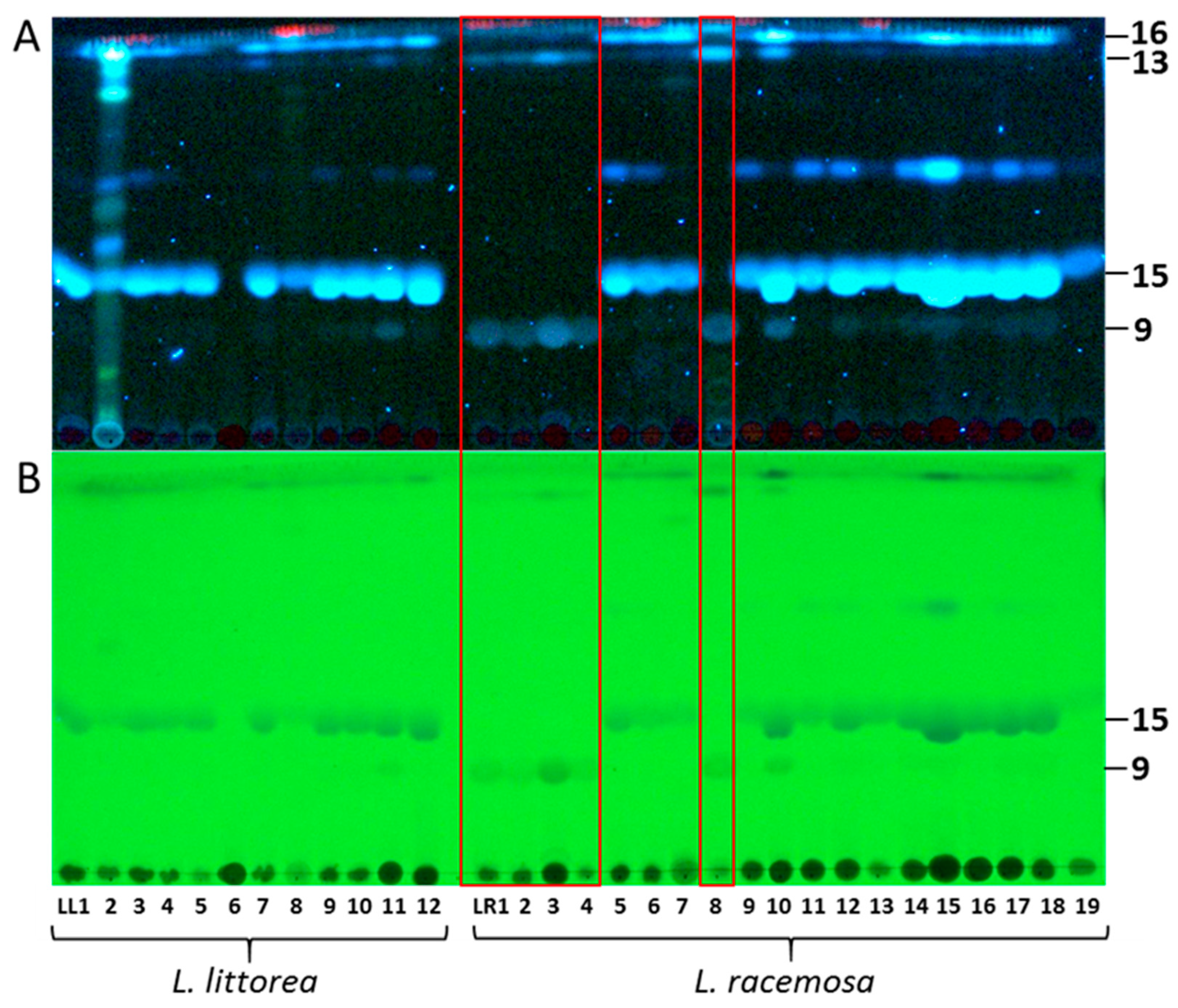 Separations 08 00082 g001