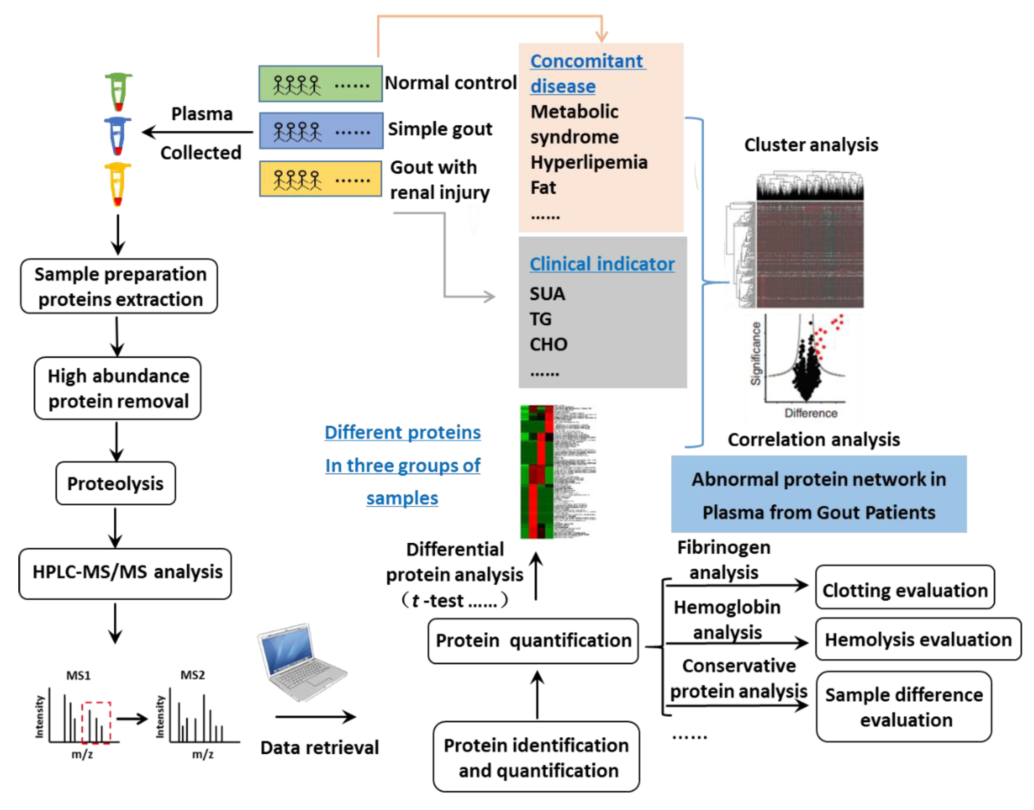 Separations 08 00085 g001 Separations 08 00085 g001
