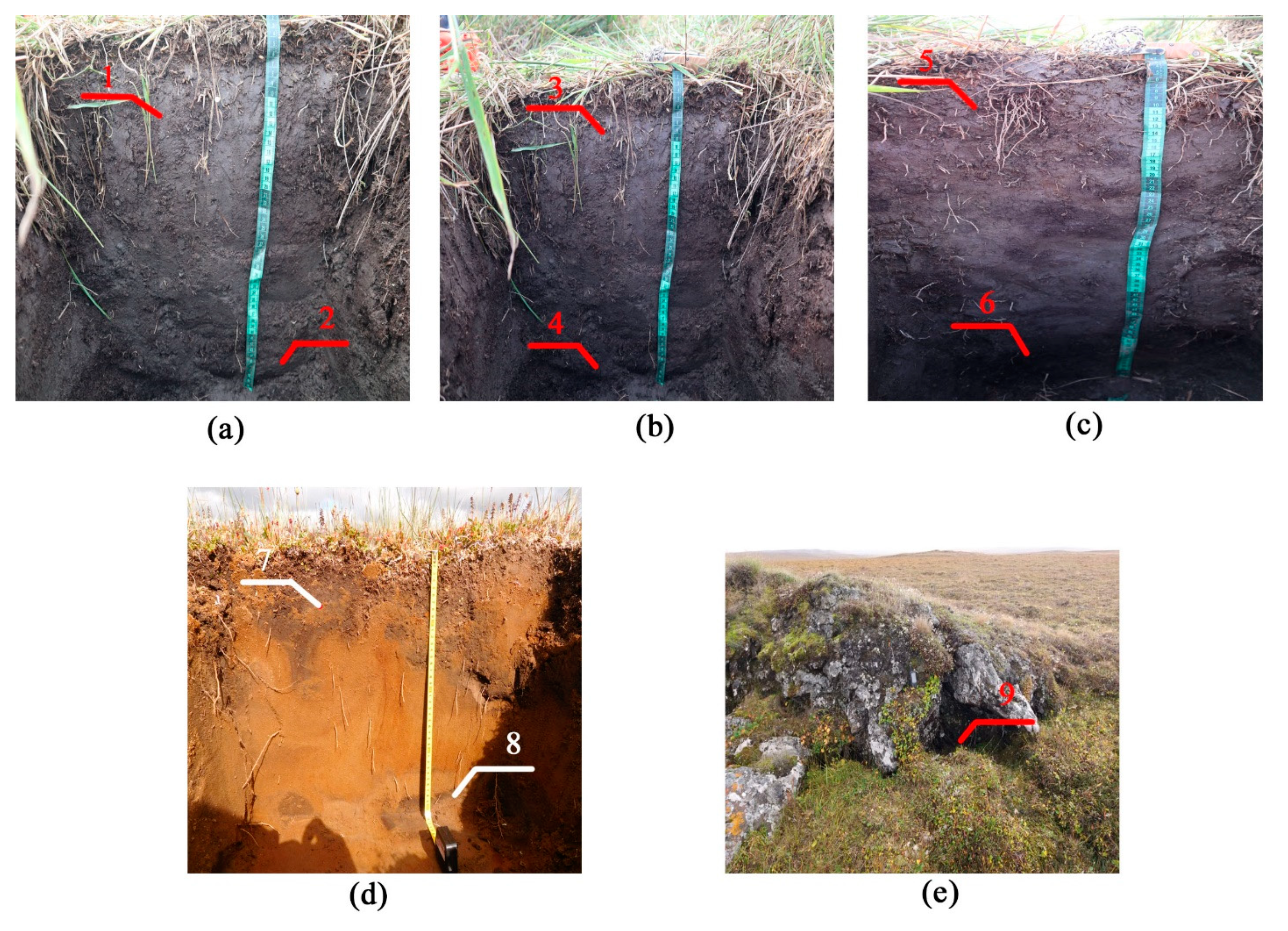 Separations 08 00087 g002 Separations 08 00087 g002