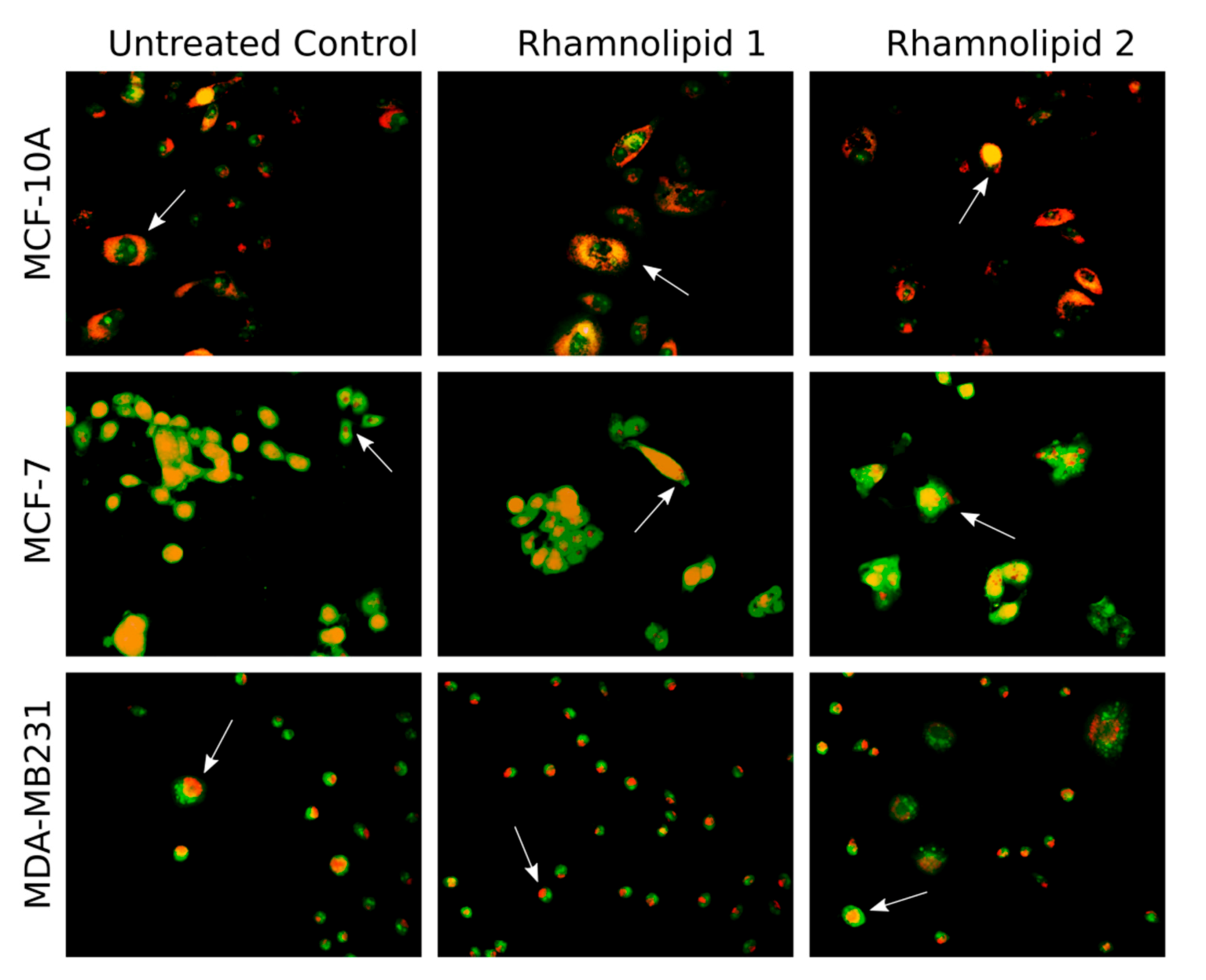 Separations 08 00092 g002