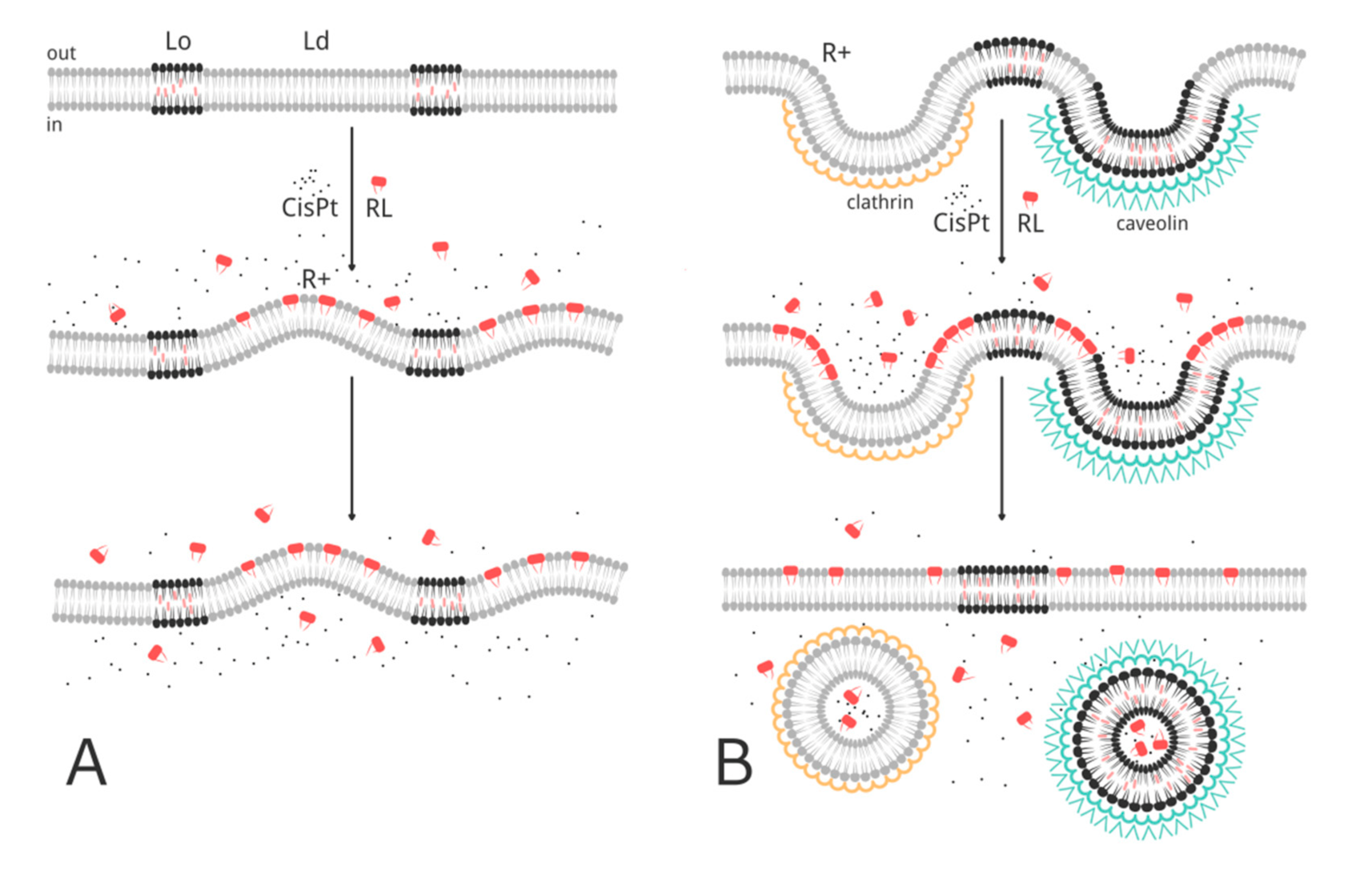 Separations 08 00092 g006