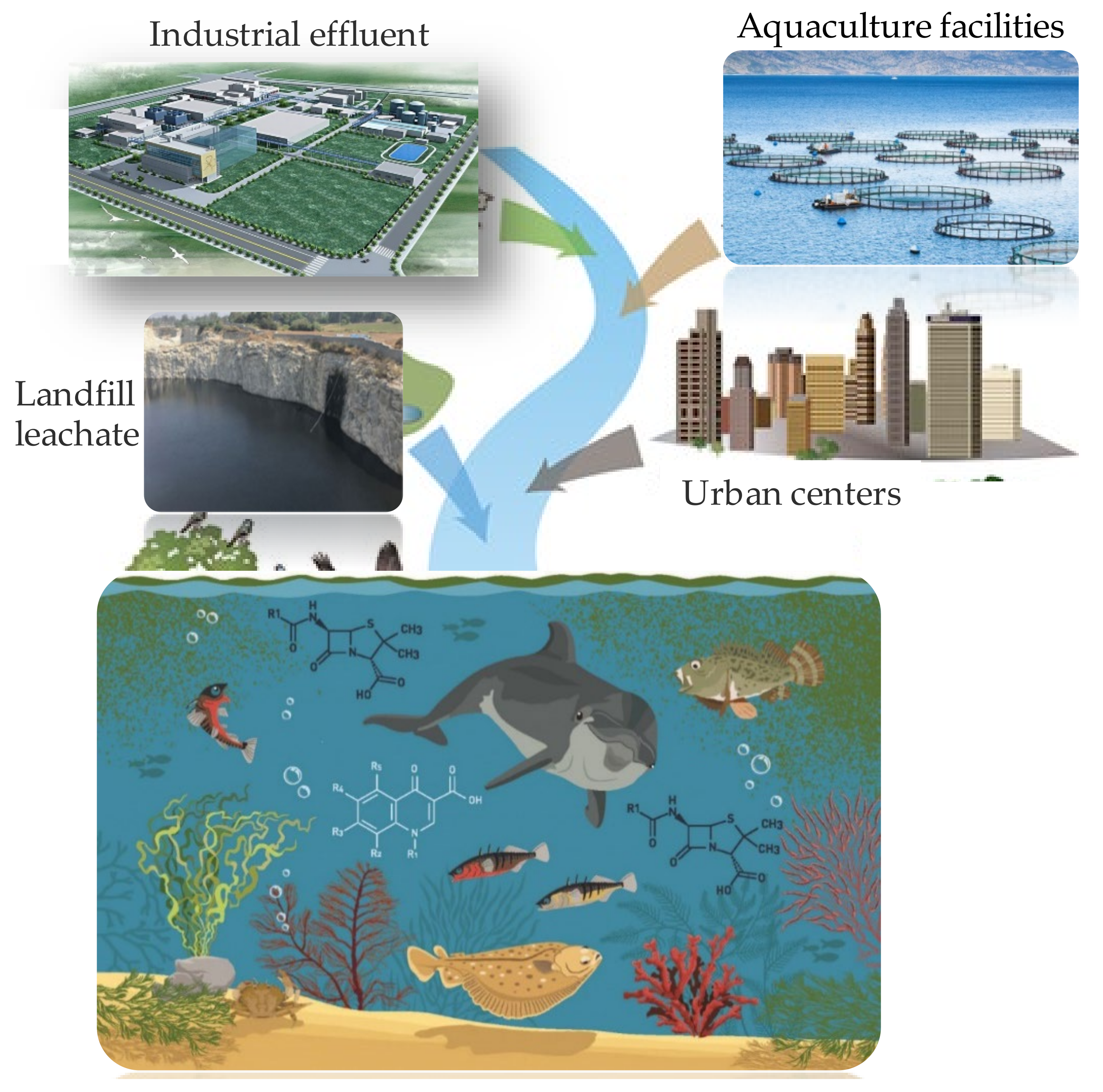 Separations 08 00095 g001