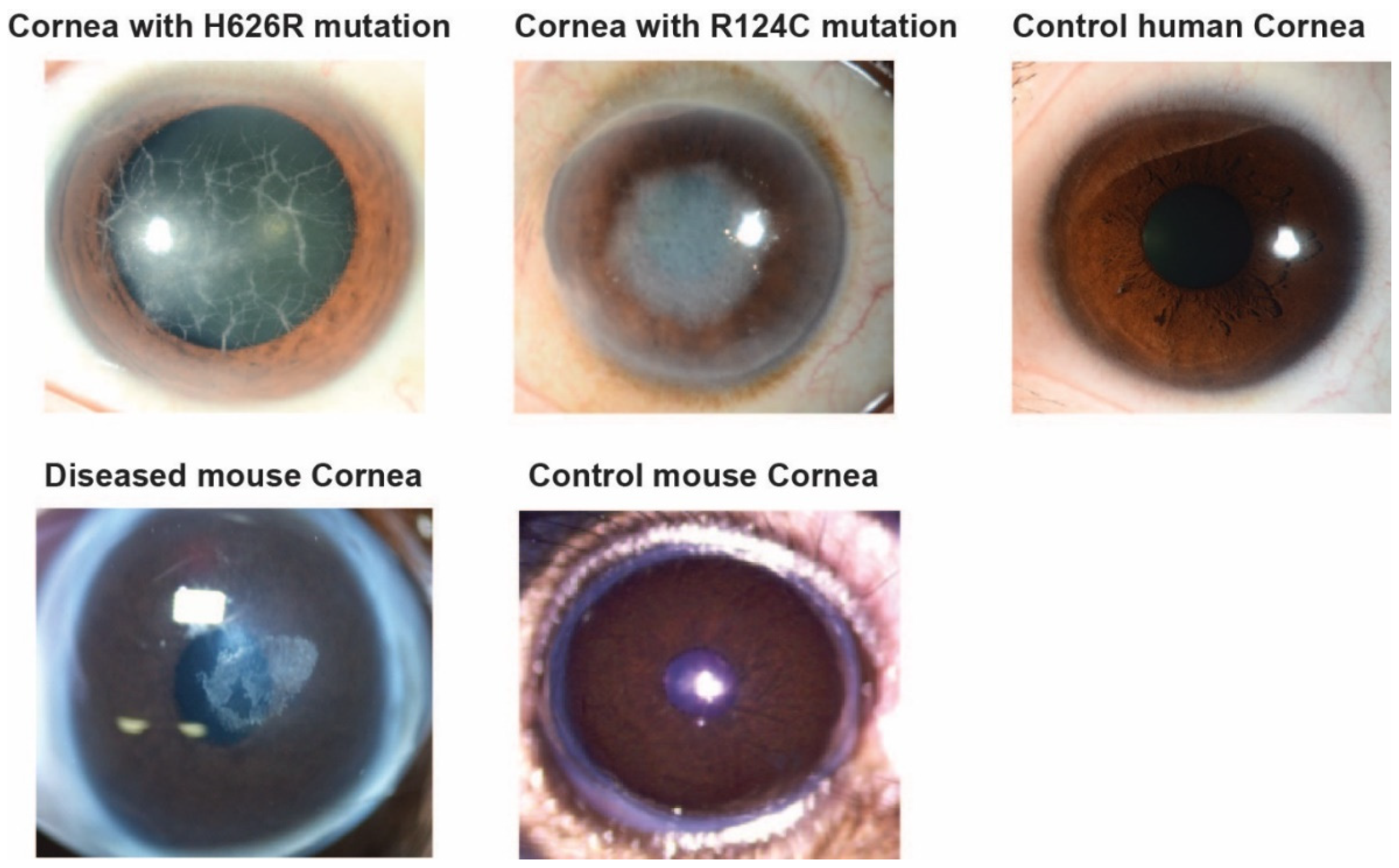 Separations 08 00097 g001