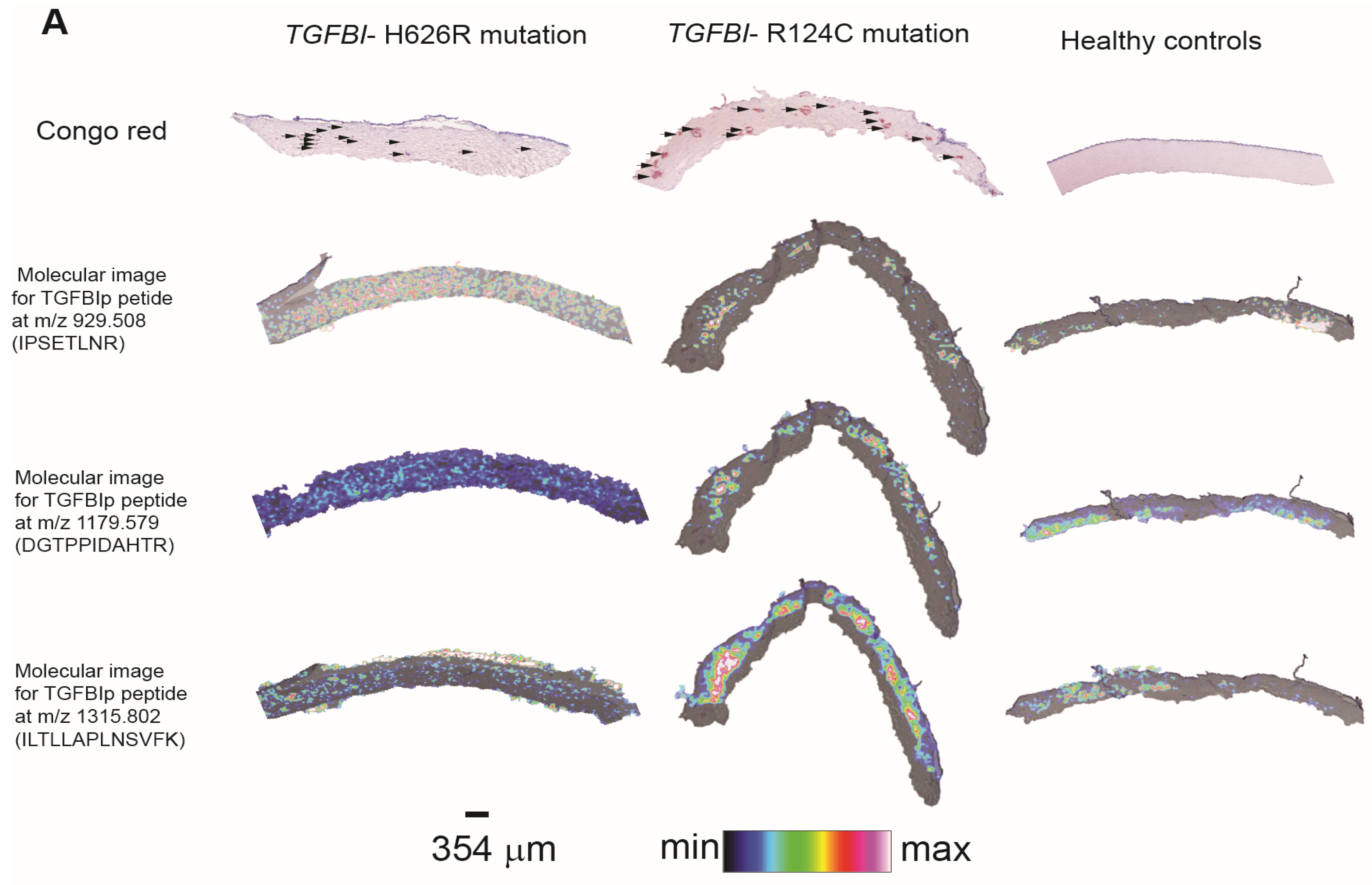 Separations 08 00097 g005a