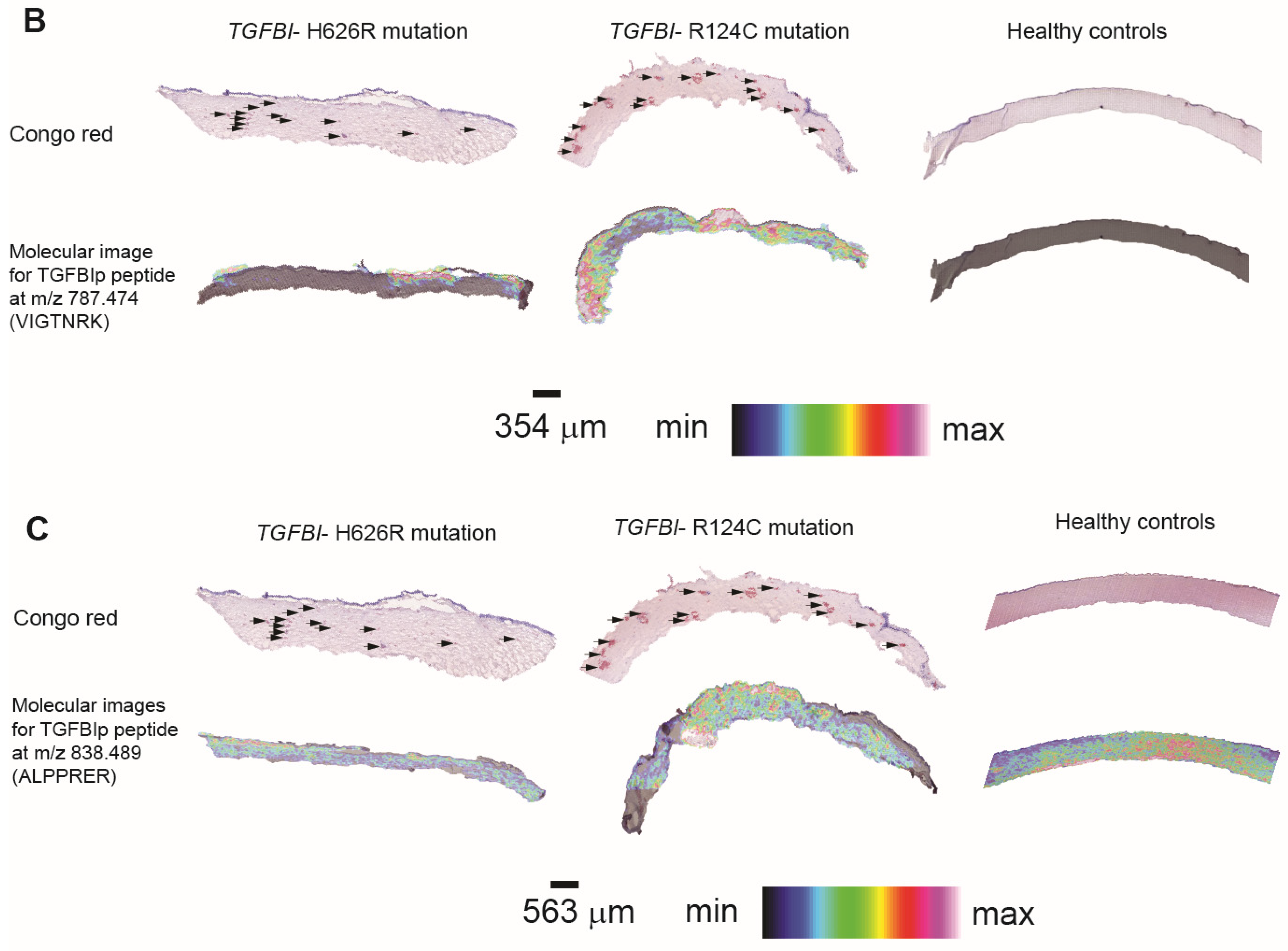 Separations 08 00097 g005b