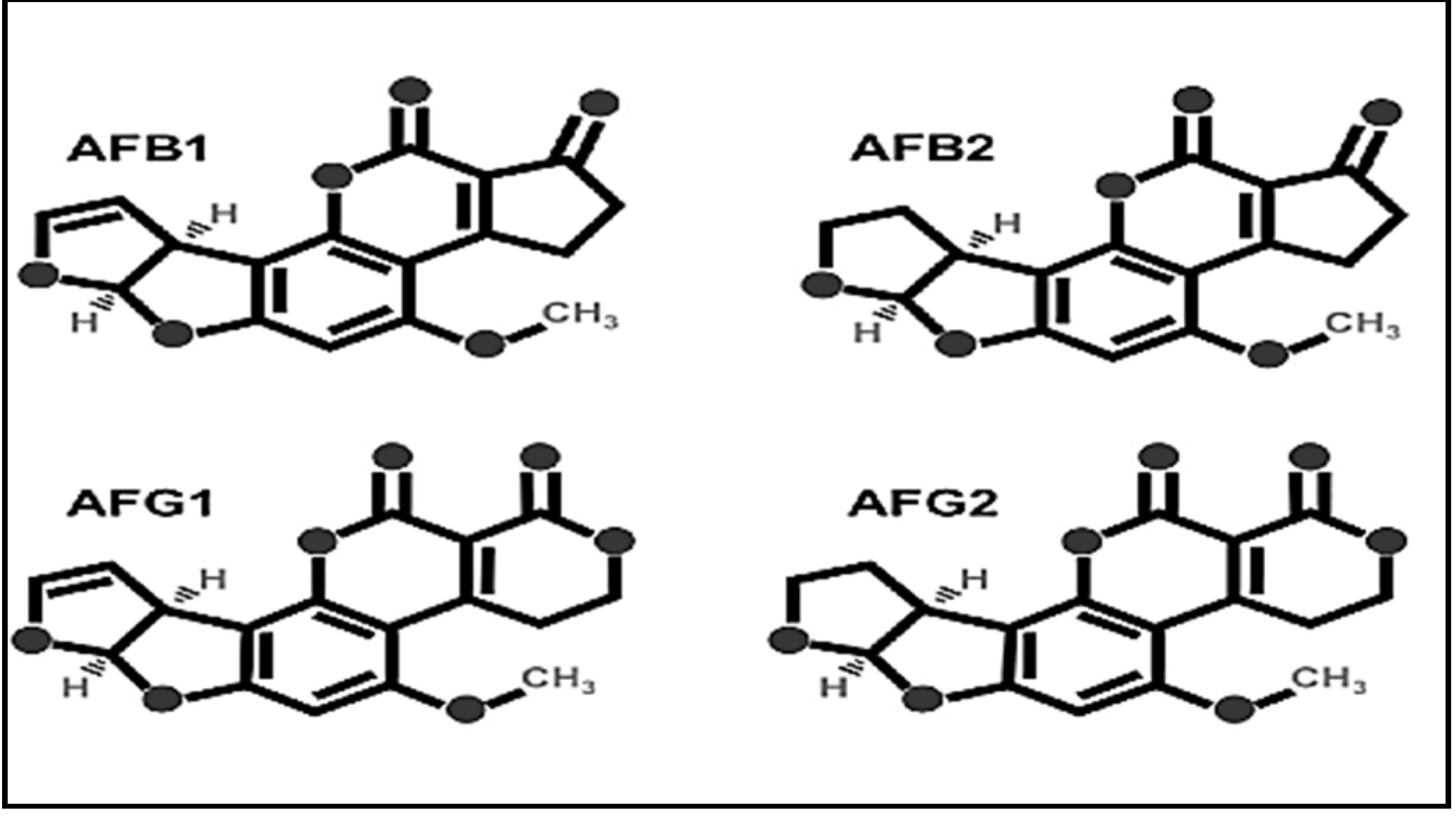 Separations 08 00098 g001